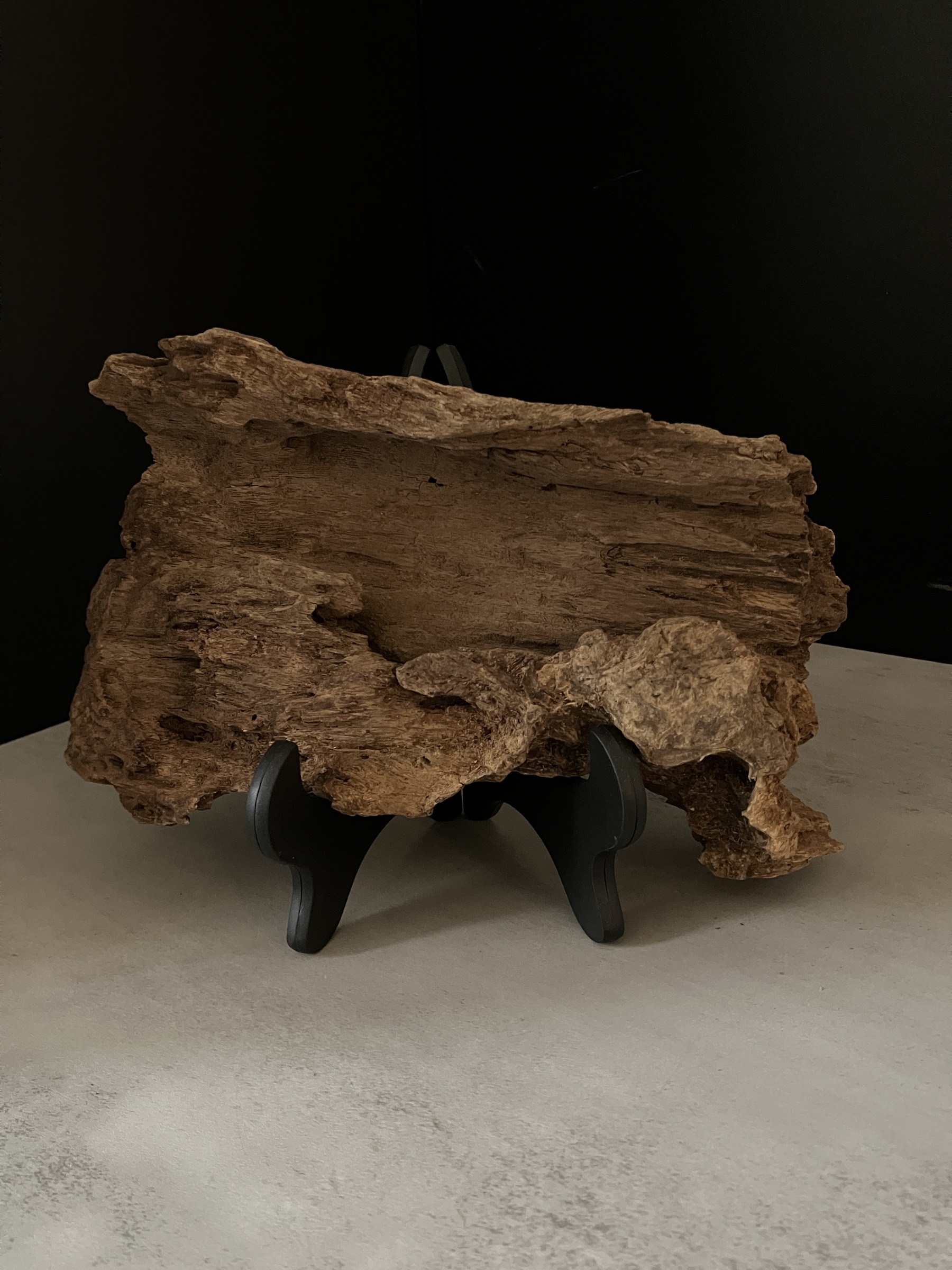 image_8AD0A63E-F079-408E-A782-9623F891262C_1763450788