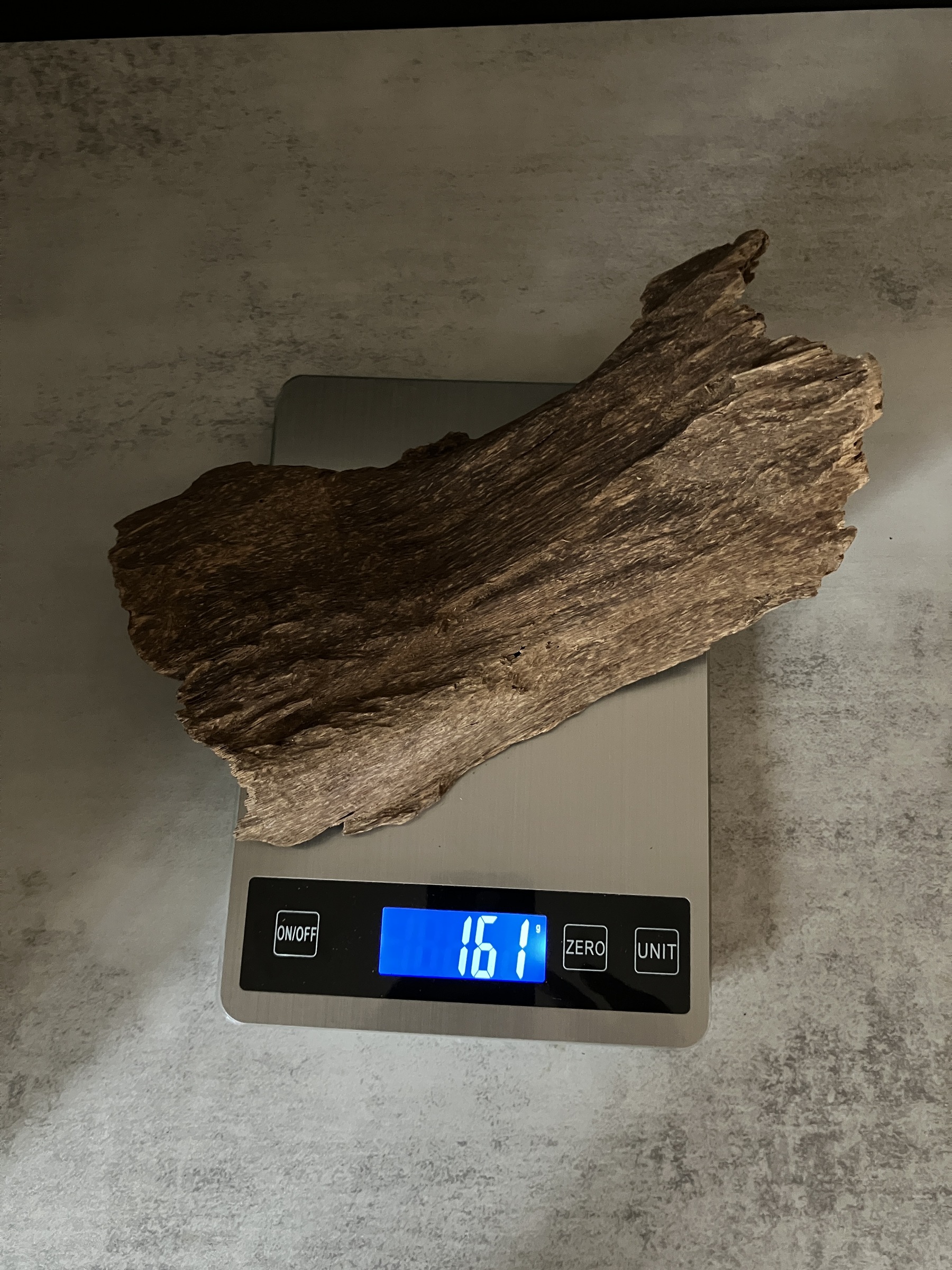 image_C11C70D3-449E-48A2-AA1D-FA665ADC11B2_1763450788