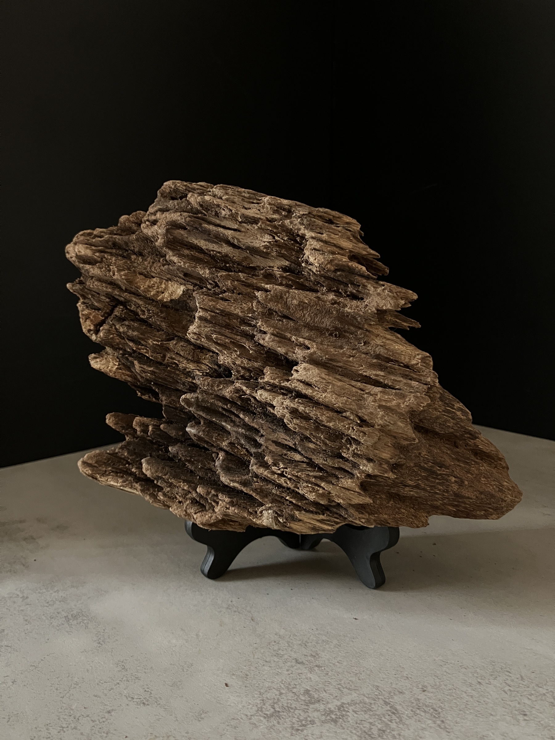 image_D8E0E0E7-34A6-47A5-B0C1-4E89FACF5373_1763450869