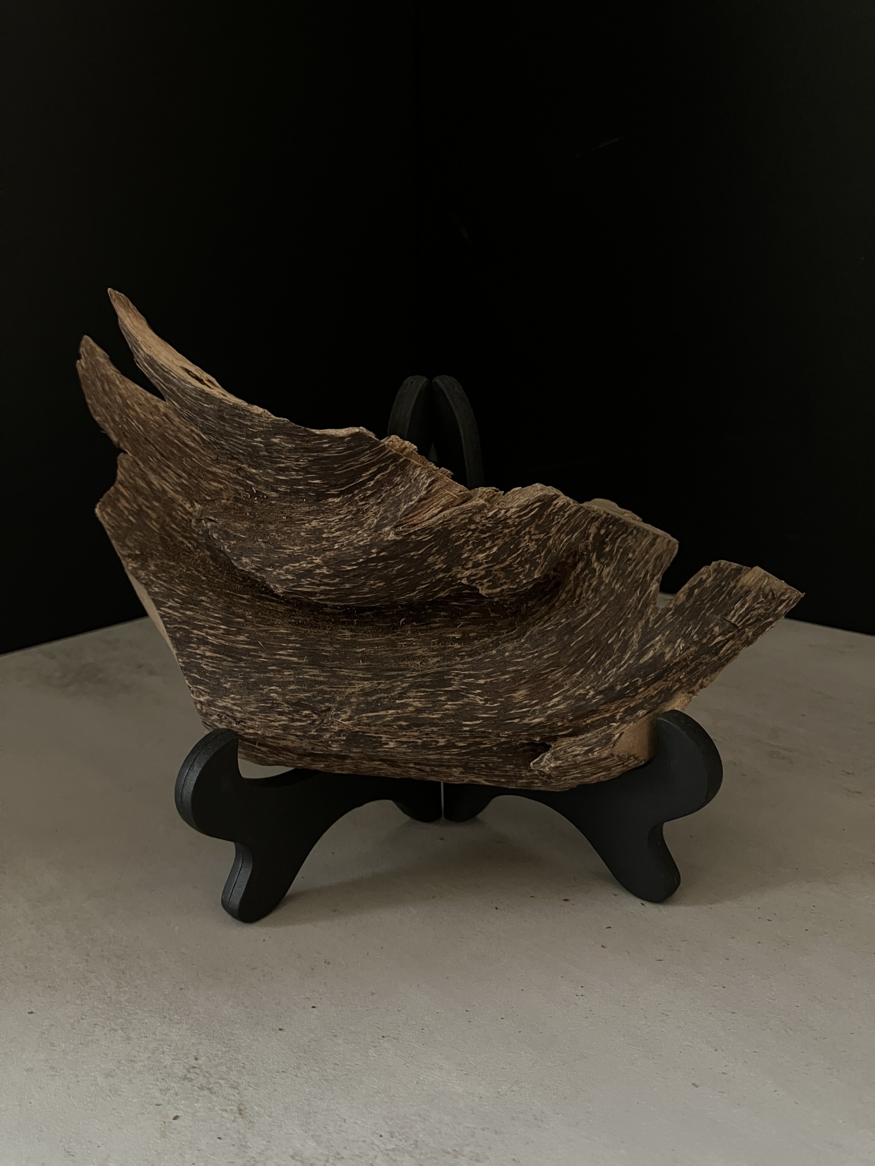 image_EAF8CB19-B1AD-484D-89F8-97FA4C3A853F_1763450949