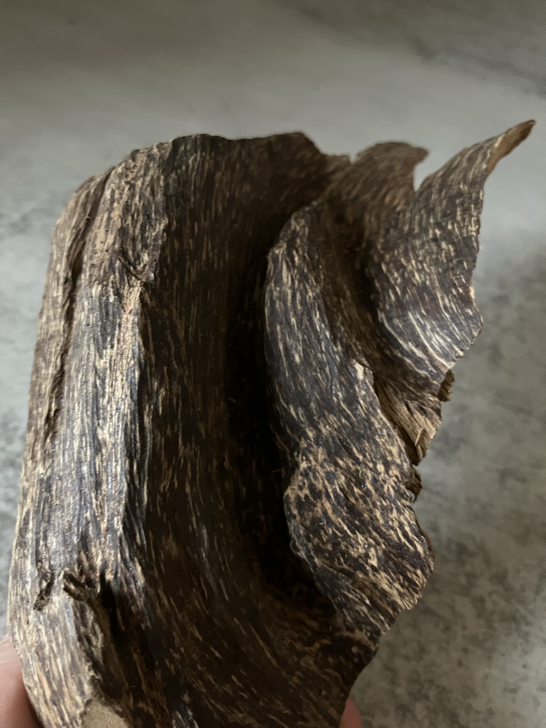 image_FDF3B4DE-BF25-4E38-AA47-F55042ECAE55_1763450949