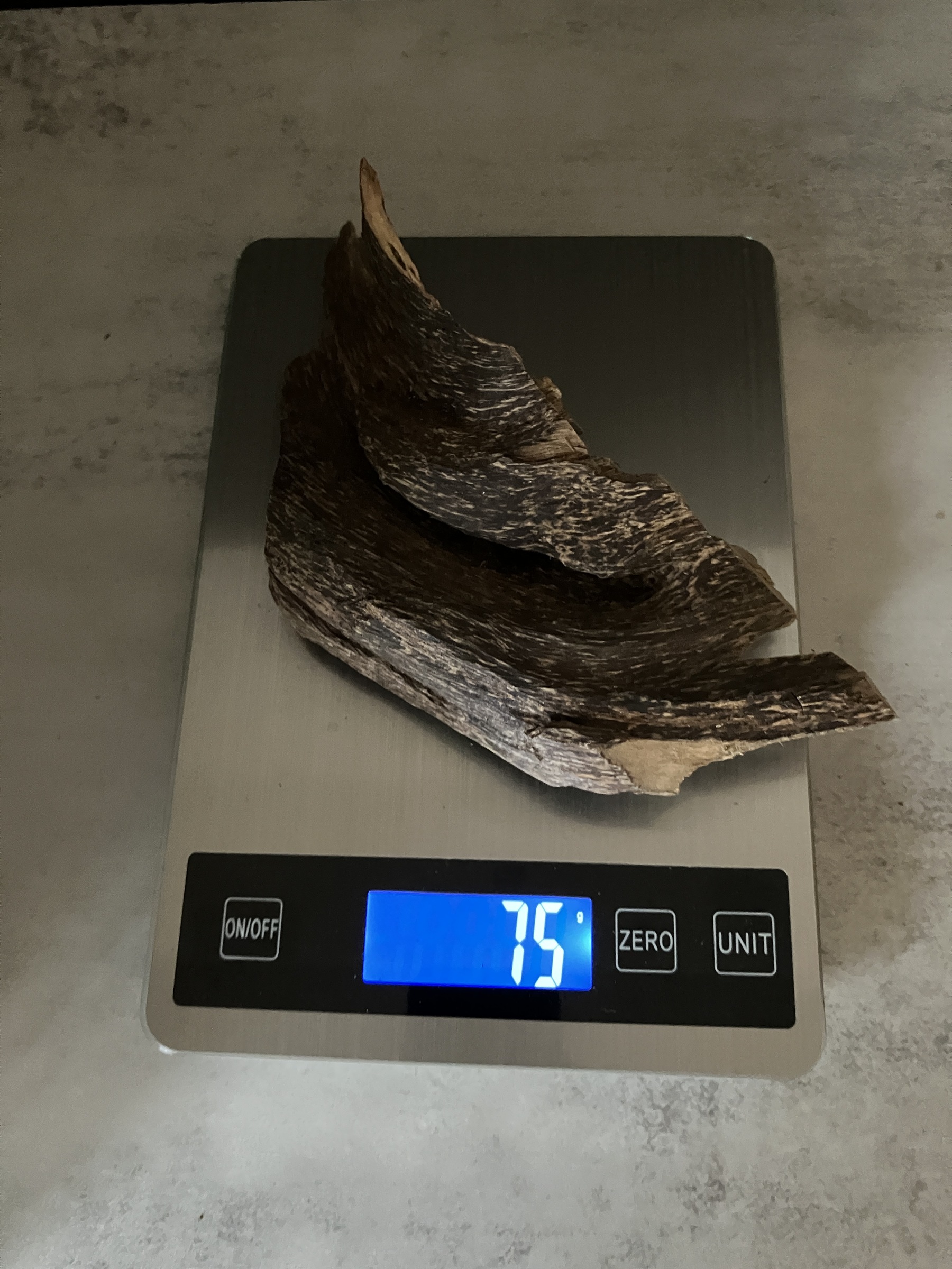 image_39F7368C-A6FF-4D28-865F-9556BA7E9098_1763450950