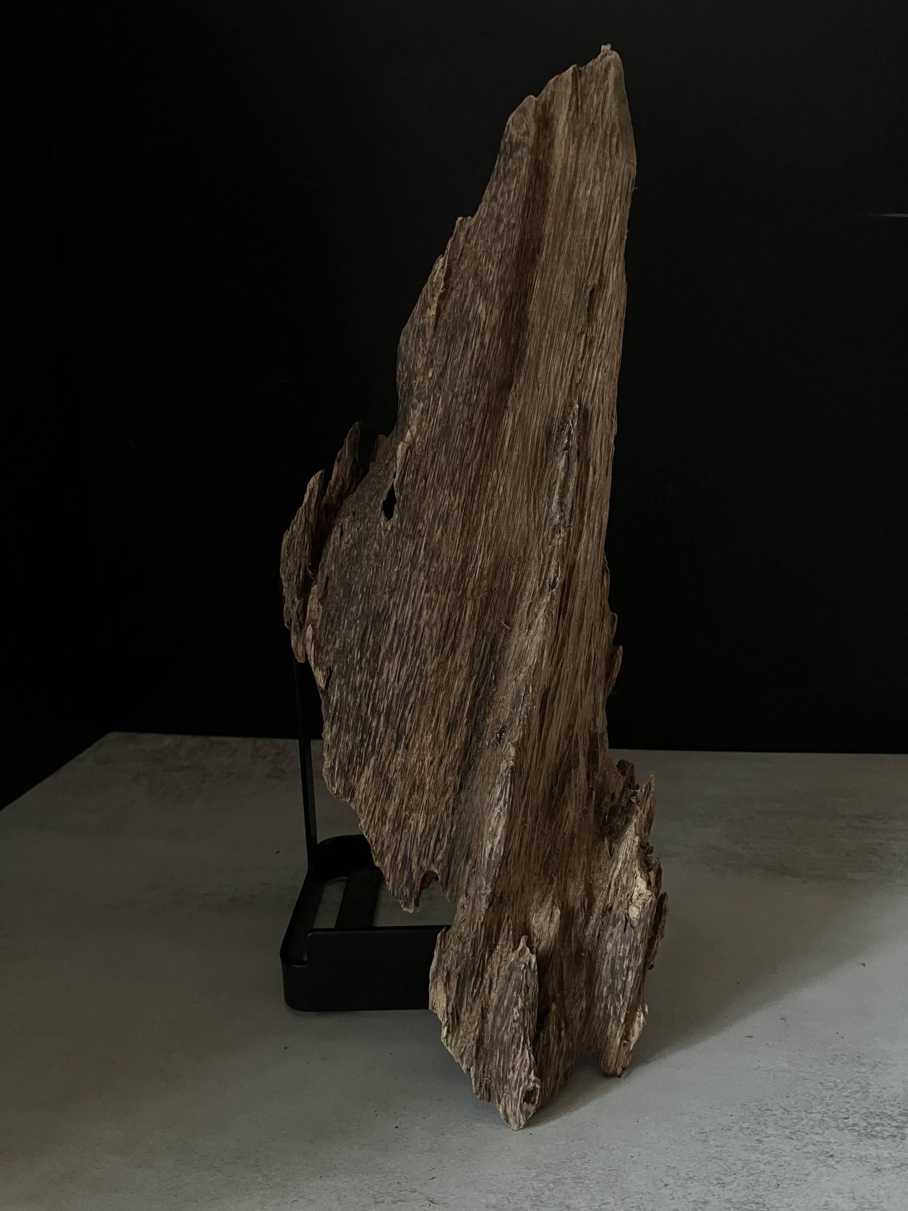 image_8DD2661E-2ED2-4FE2-86B1-558C4E3D3189_1763451044