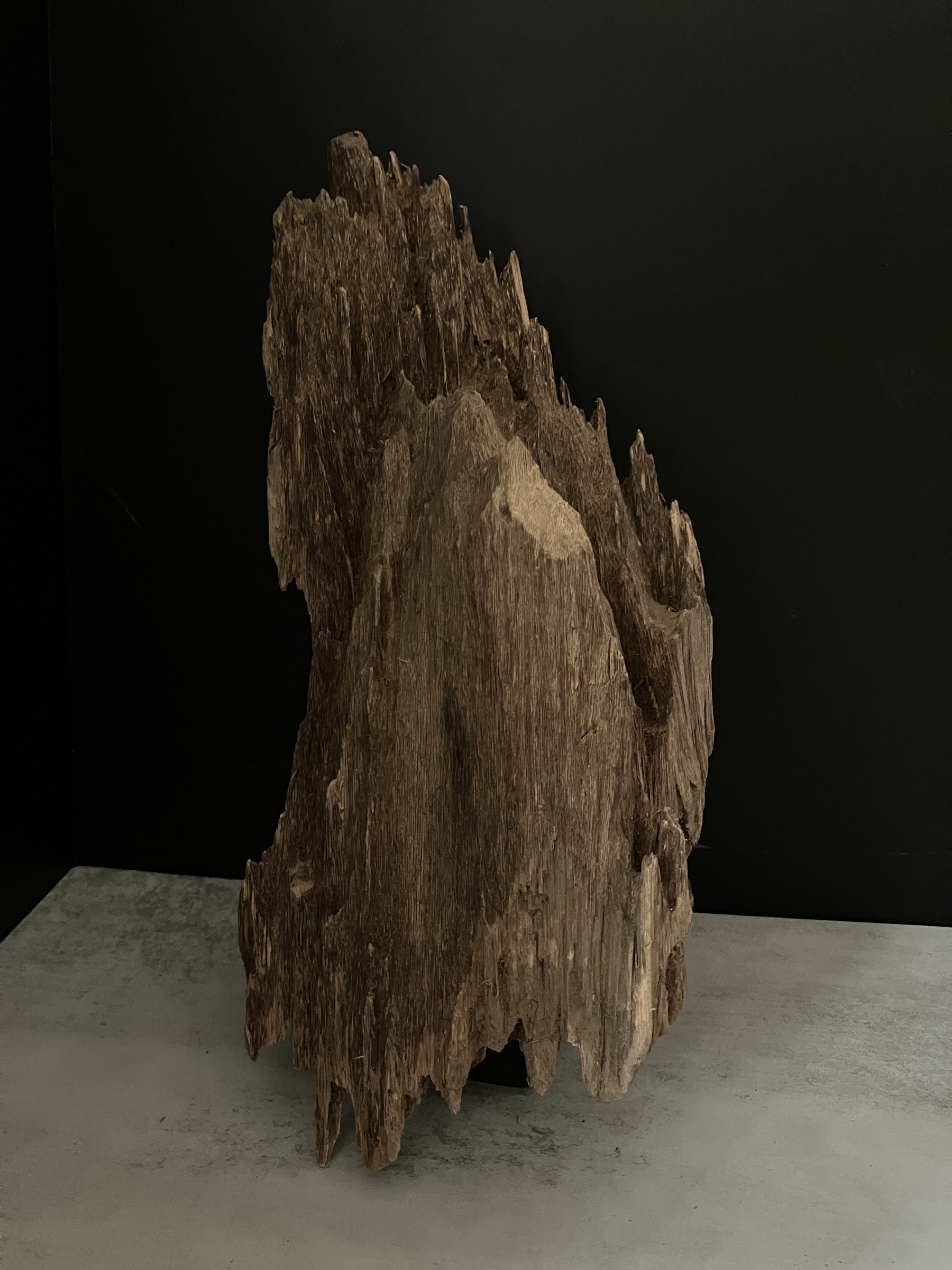 image_48382685-5B5C-4CD4-B575-586E9196A02E_1763451142