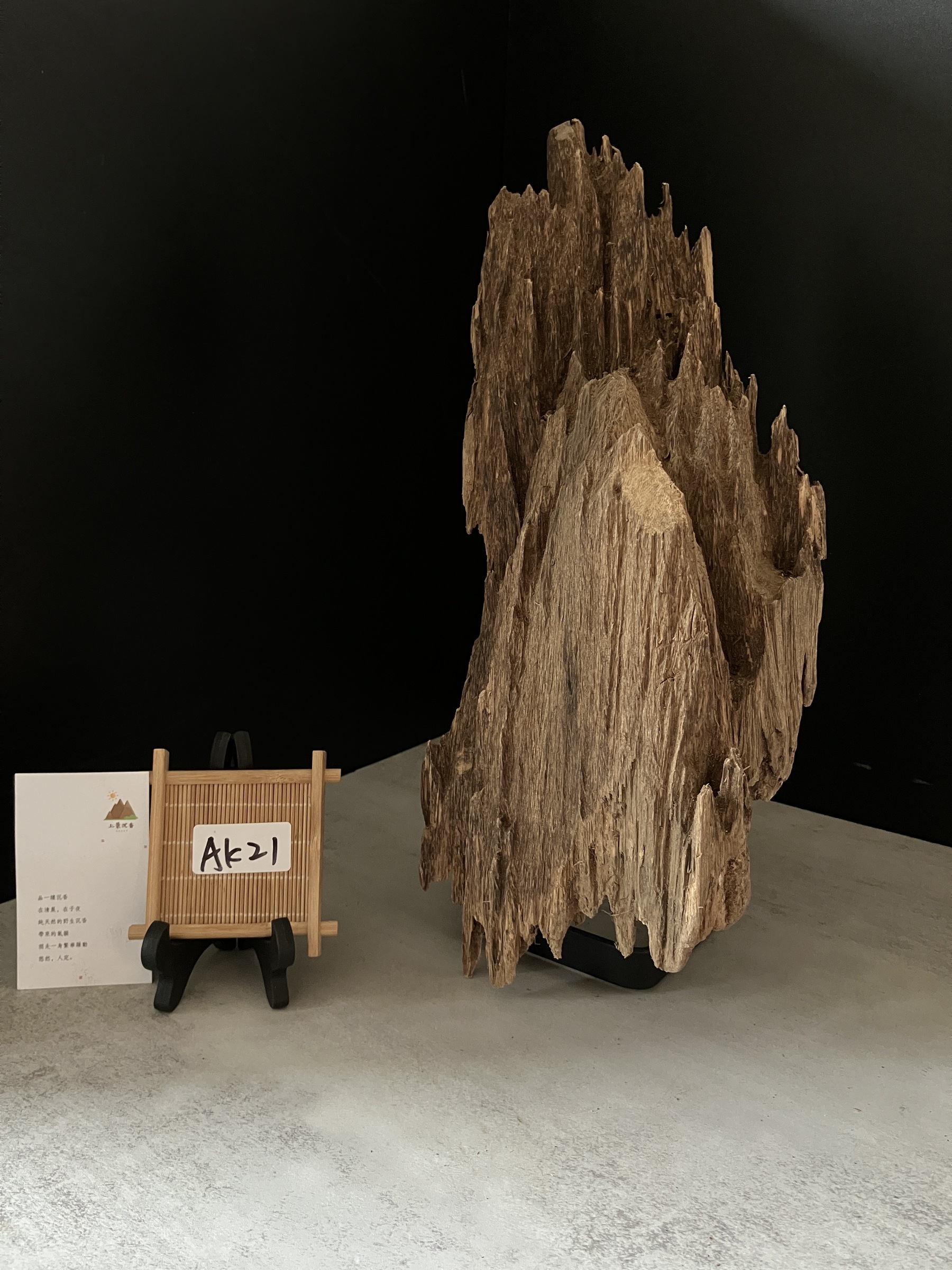 image_DB6AA7CB-AD65-4A8C-A88F-7E1B38795200_1763451142