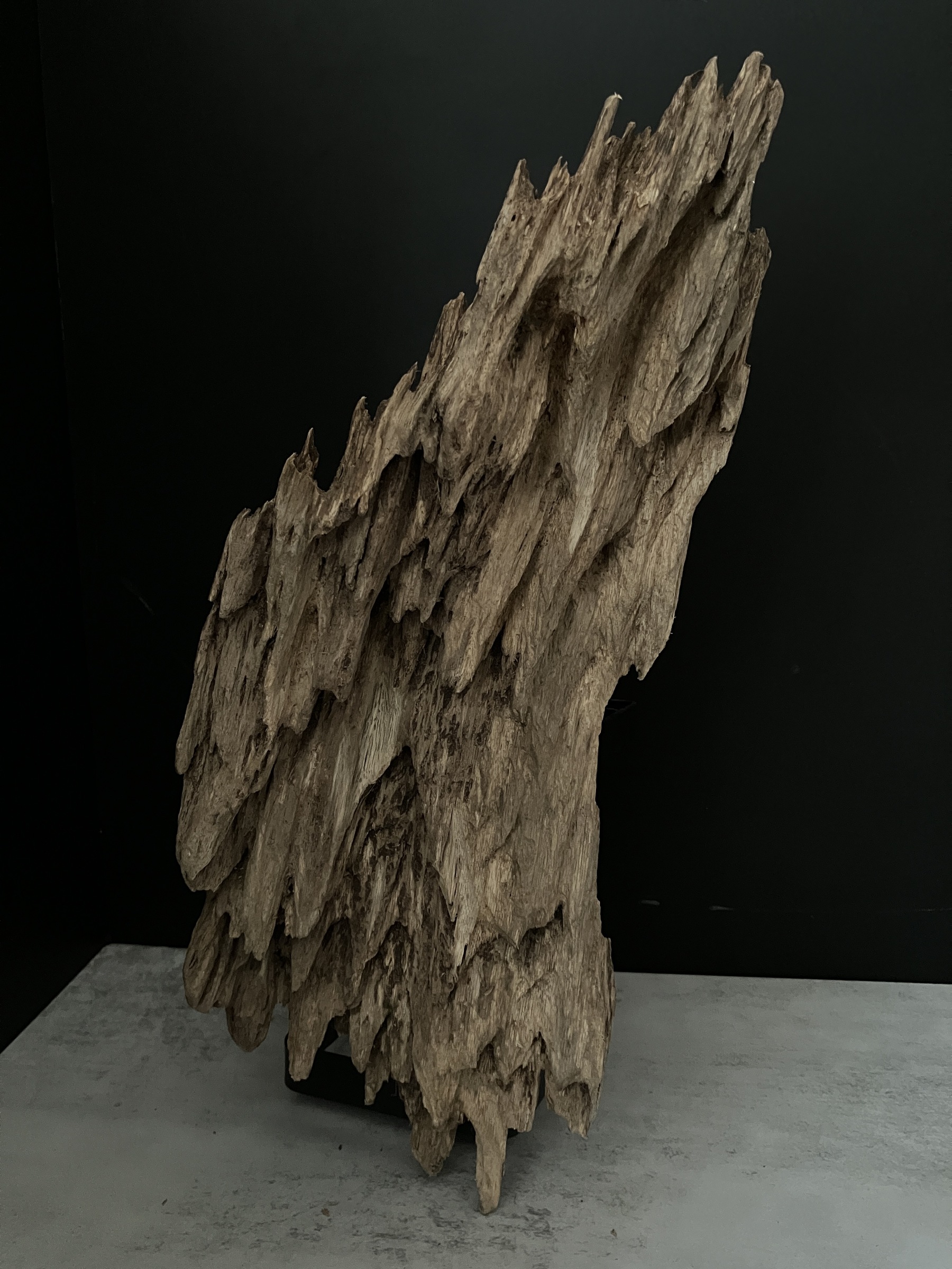 image_0CB95CFB-374D-451F-ACF1-ADA98AB7A8EB_1763451142