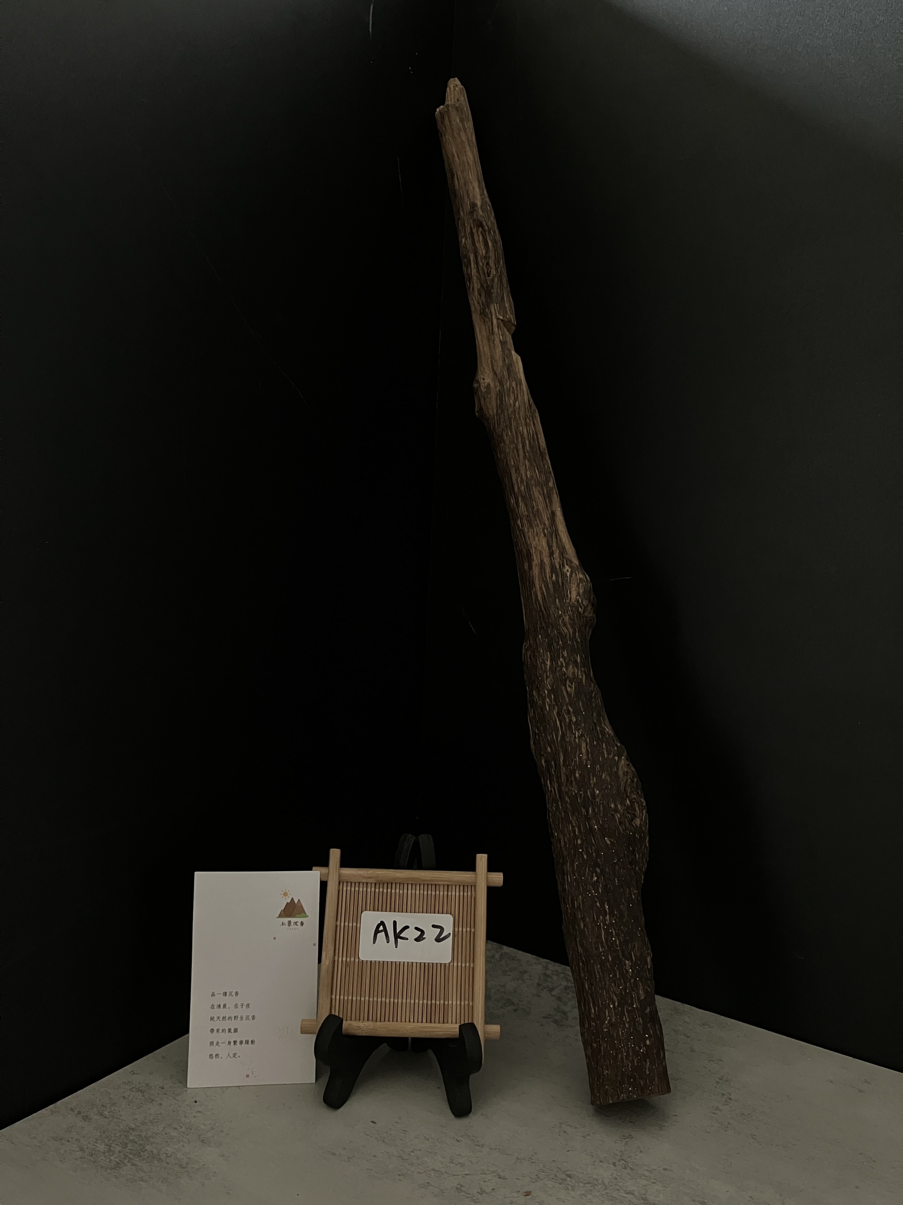 image_DC382E1E-301E-44F1-855E-5E70F013BF67_1763623500