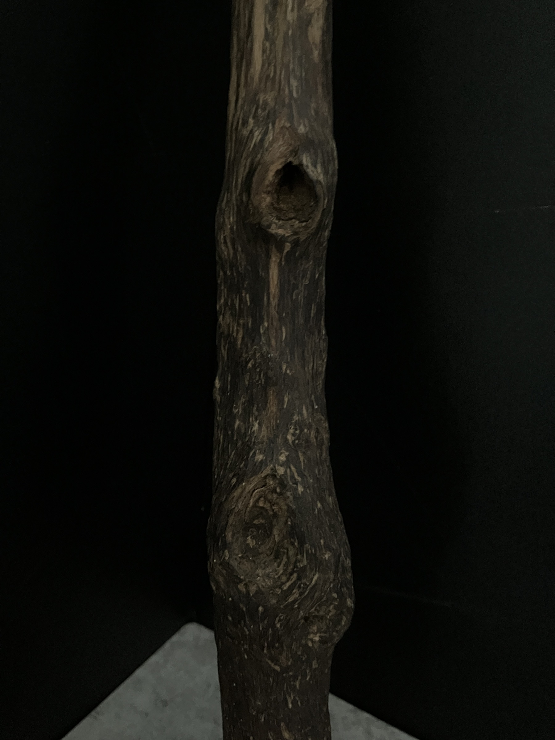 image_8401916F-69A9-4845-8416-6D4F03B68704_1763623500