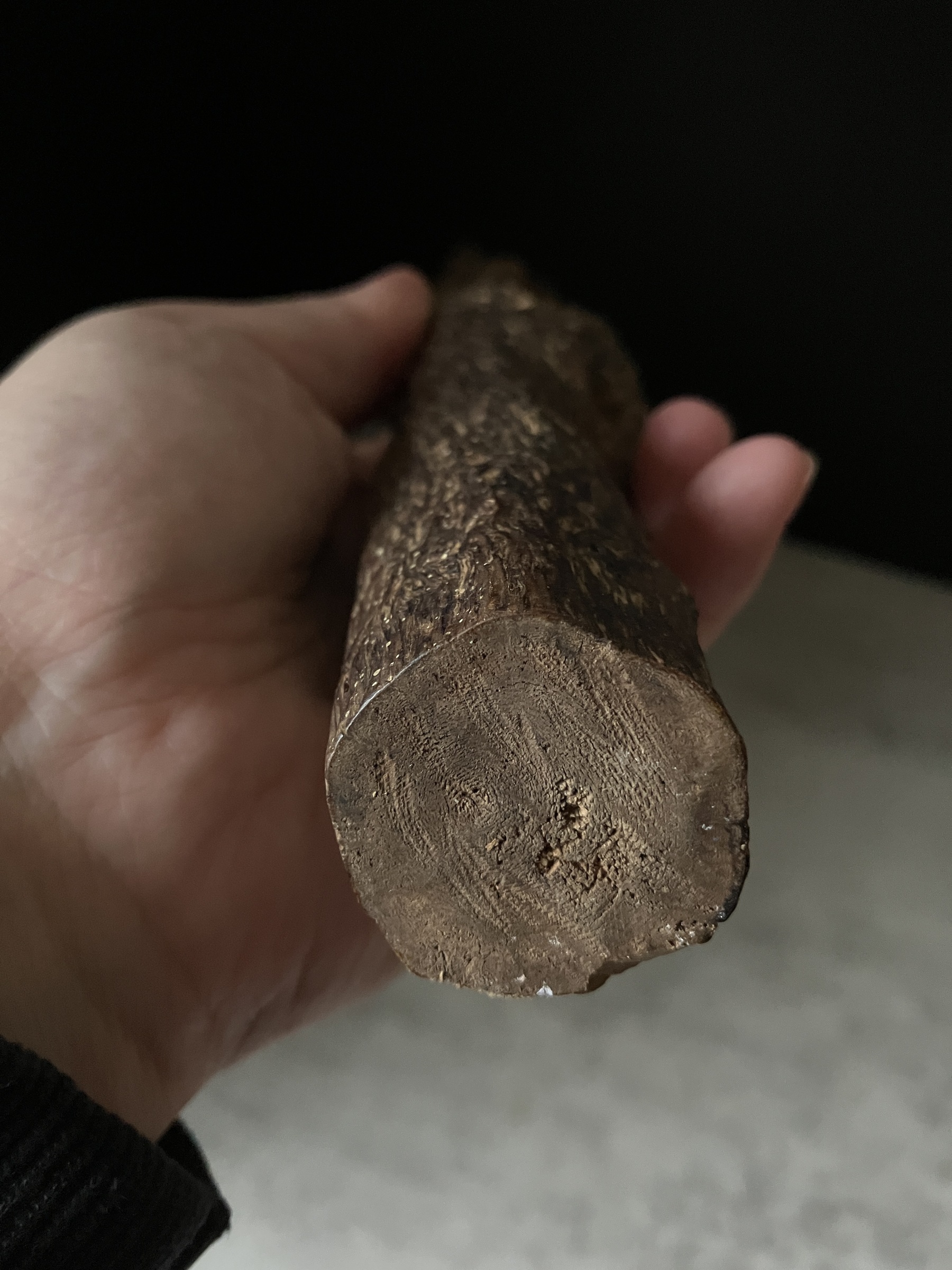 image_28D30088-53E2-4472-B6D0-E8D3373C3C6C_1763623500