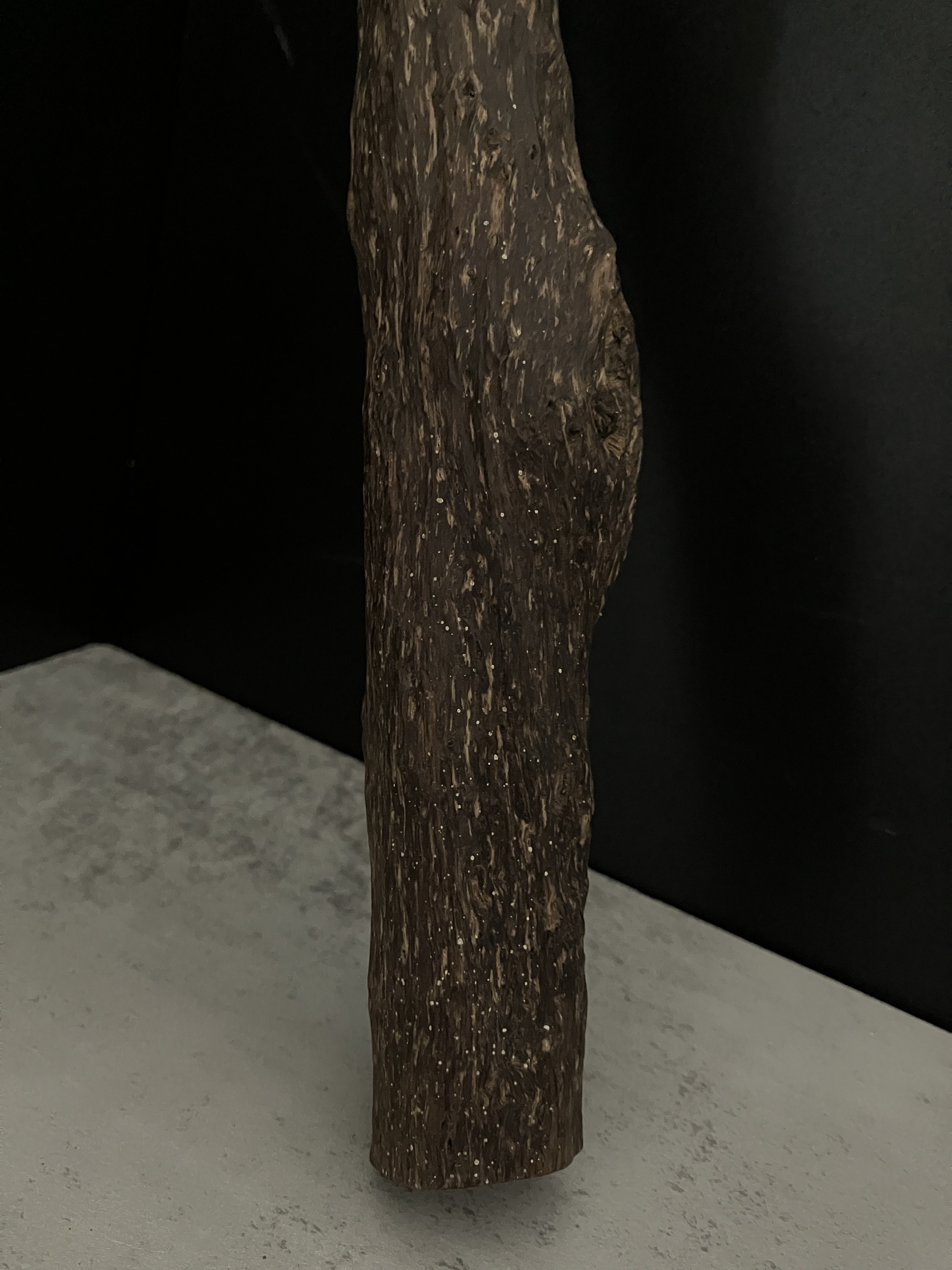 image_19AC0341-6267-4791-9E5D-68EB1BE461A6_1763623500