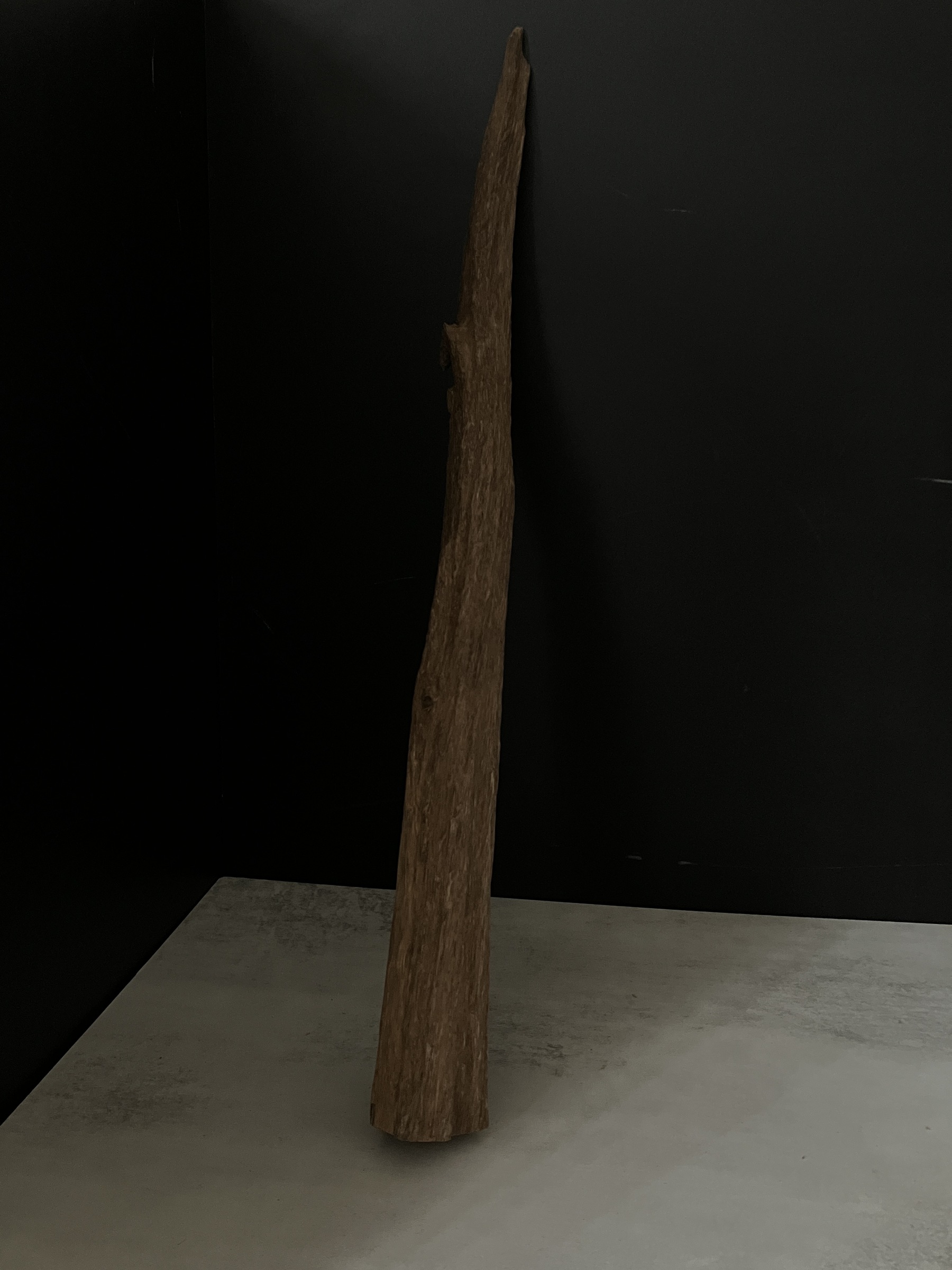 image_2D8B3E5F-2314-4529-A6B3-256FA1E2B2F1_1763623864