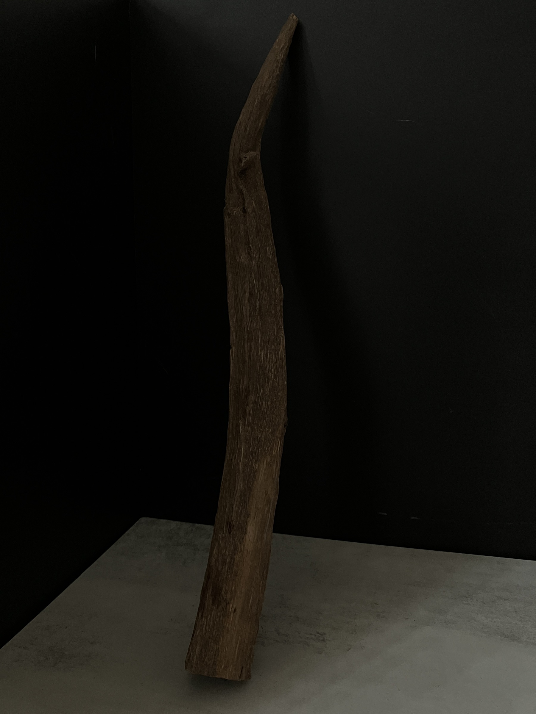 image_53332988-D50C-4B13-A5F2-18A9B21E9724_1763623864