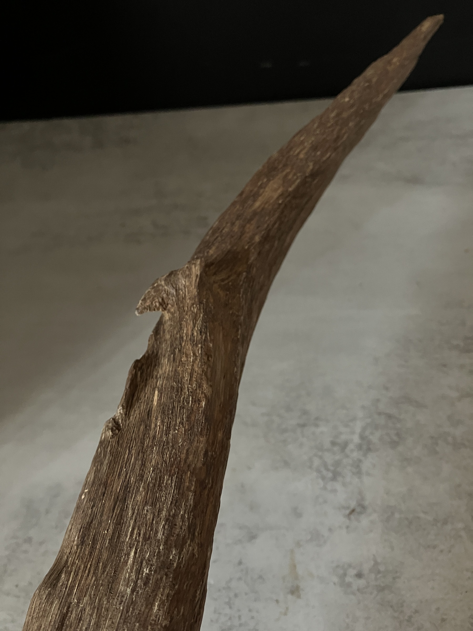 image_9FC5DD27-E24D-41B0-8E75-FF448BF104D8_1763623864