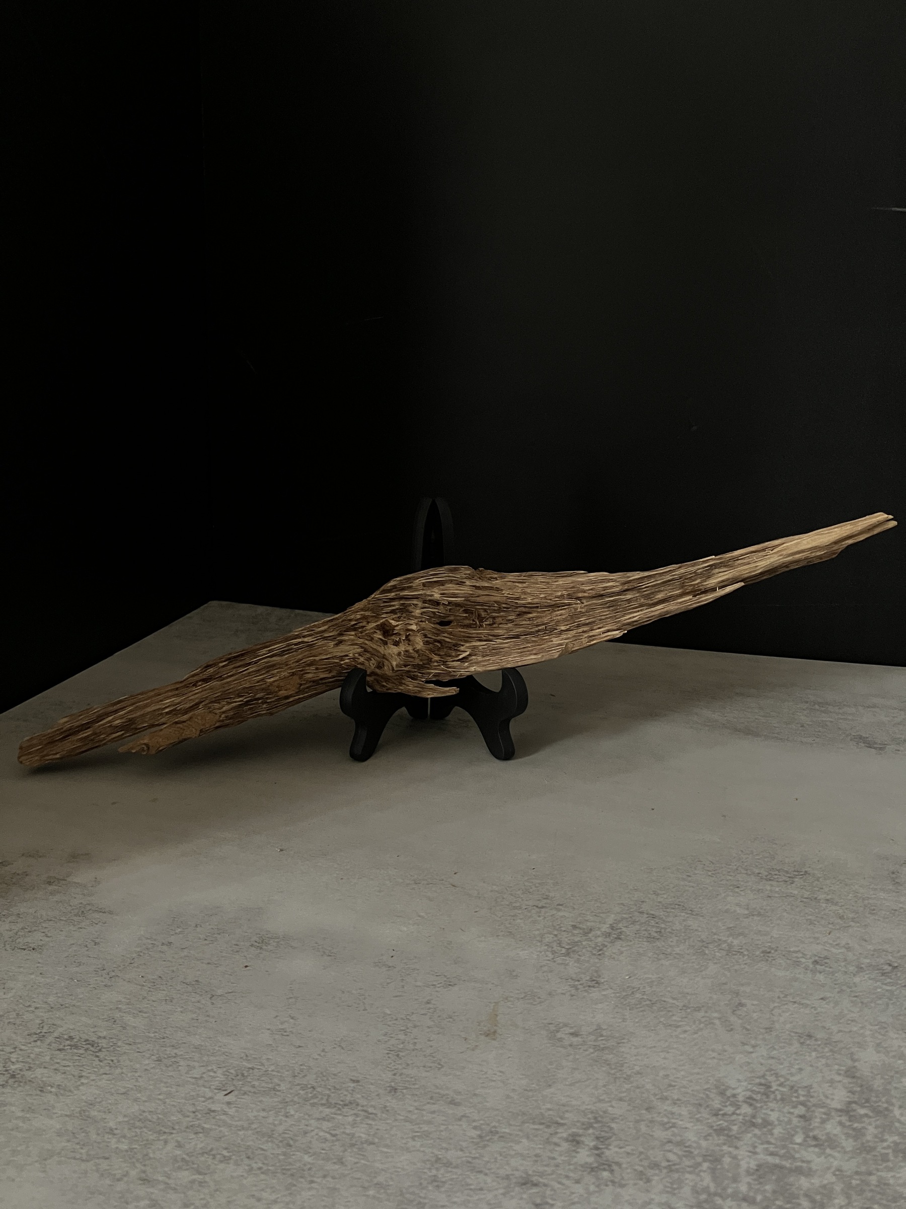 image_AA0EB0C4-094F-46FD-8605-8DBA2F8501A6_1763623944