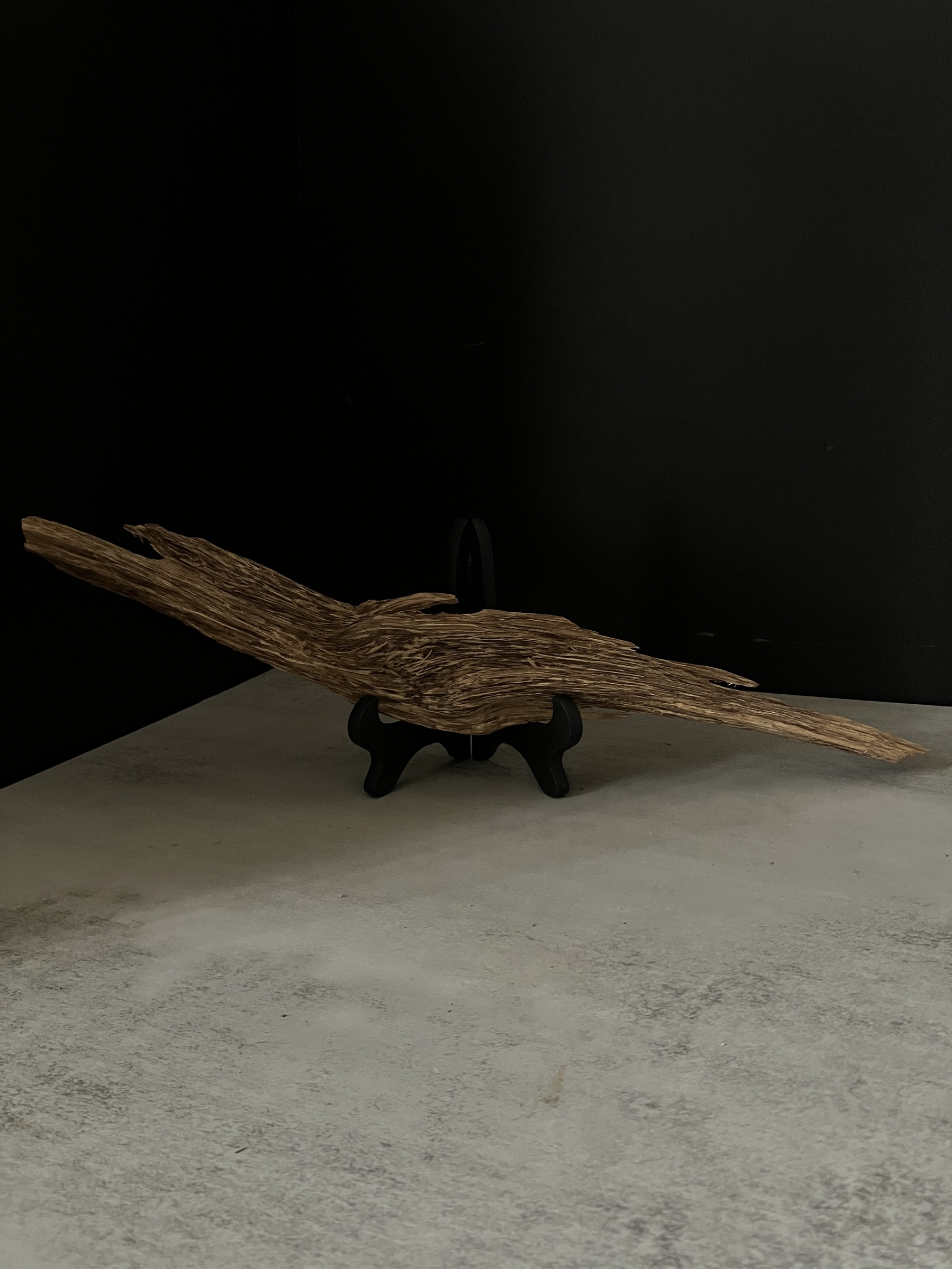 image_1F09BA10-D1FF-4353-B0AF-185D43D5EEEE_1763623944