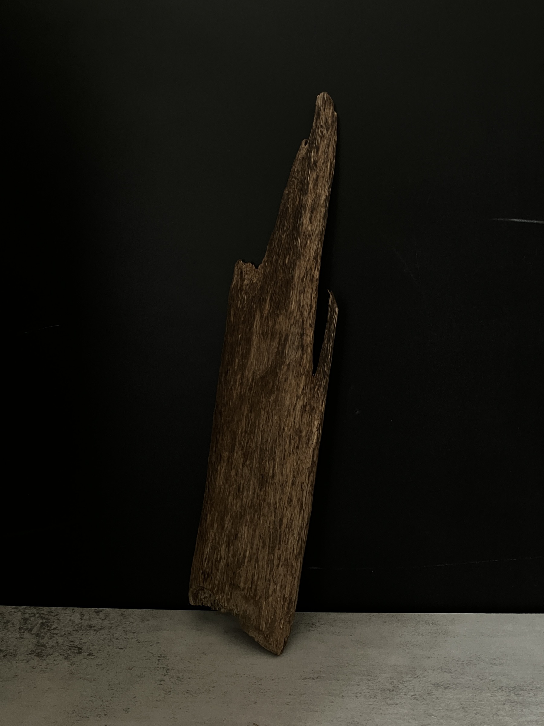 image_D400B308-EAF1-4965-9159-011A2687F36E_1763624012