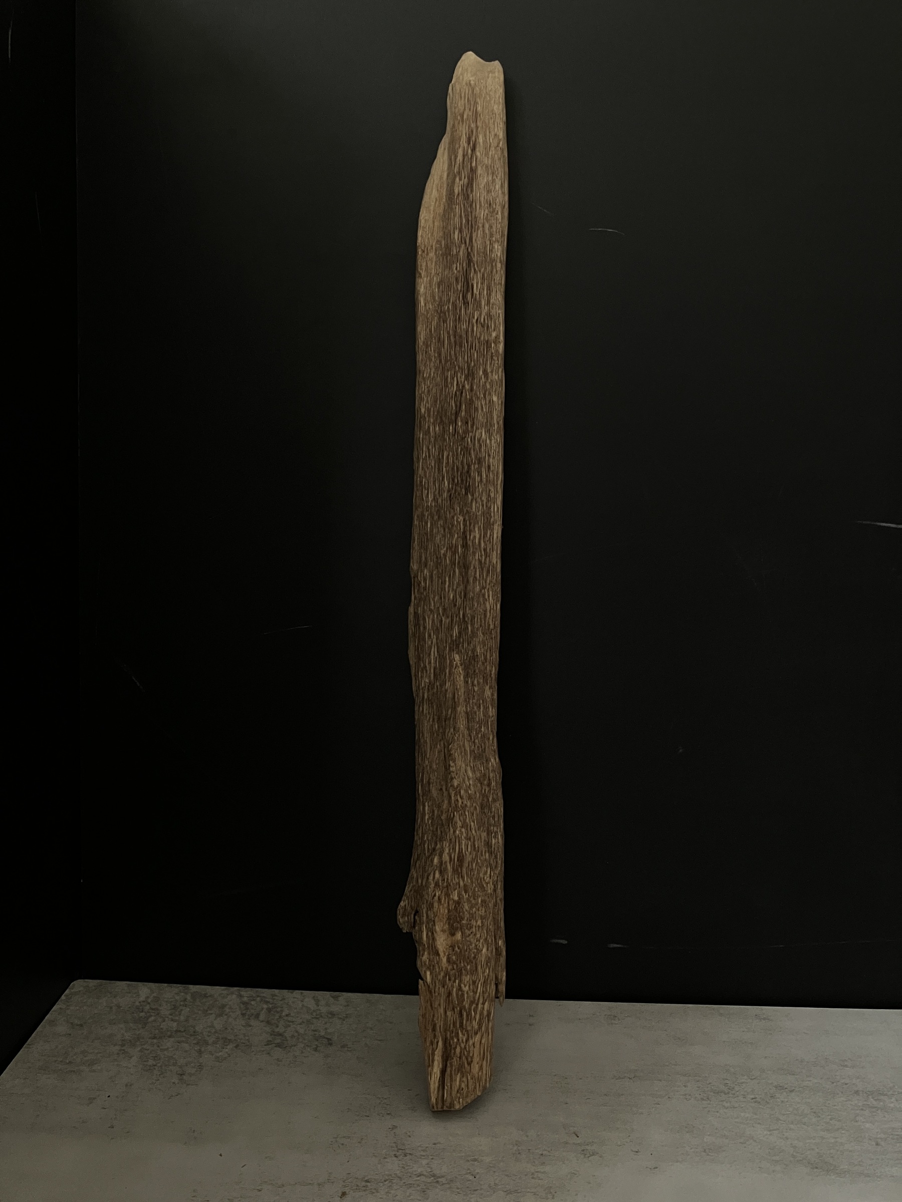 image_11F8FD37-DB11-4586-88C5-38D62E8DBA01_1763624074