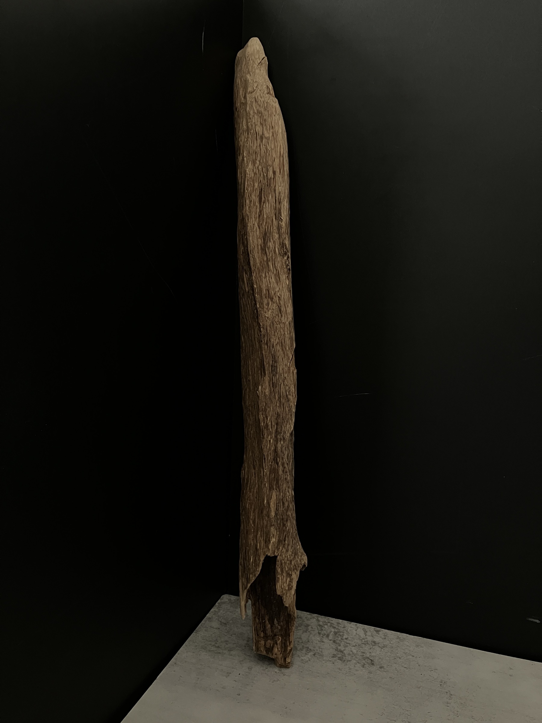 image_B9906E90-336C-4155-9B13-B83893F43579_1763624075