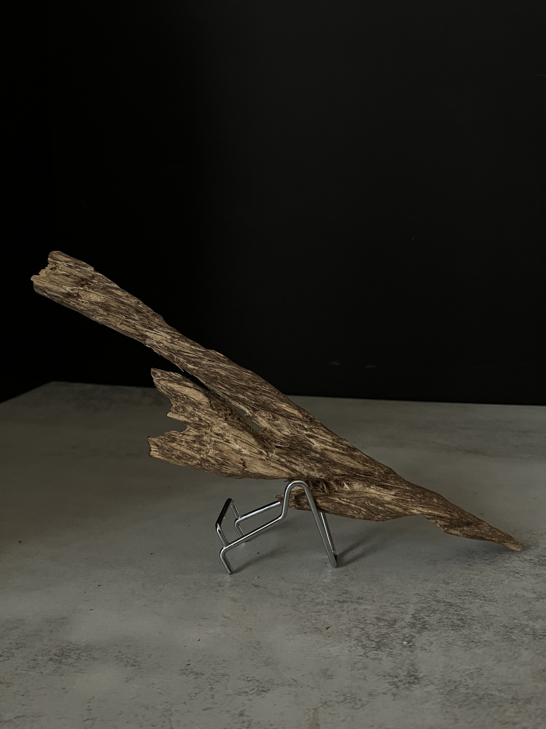 image_BCBE5705-484C-4386-9C64-BD8B8754DB53_1763624139