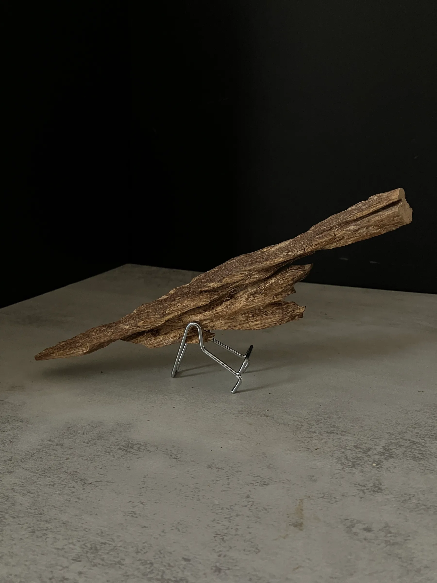 image_96C08335-4000-43C2-84F8-D0C466042584_1763624139