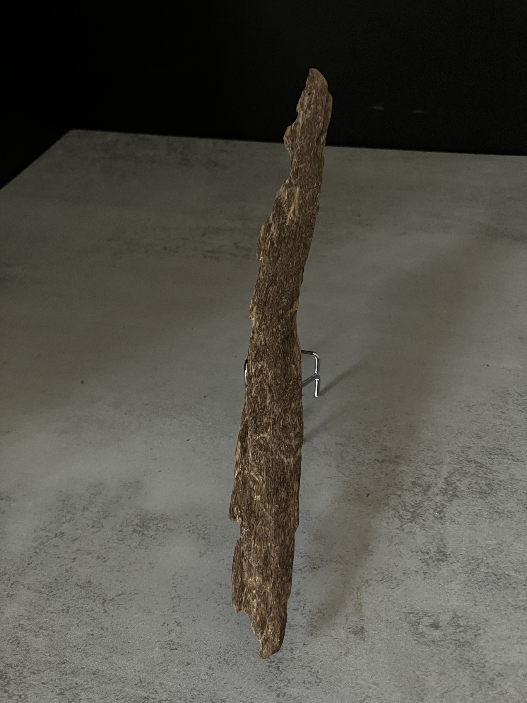 image_0703F680-1B20-4B60-B7A1-E096BB376B6B_1763624139