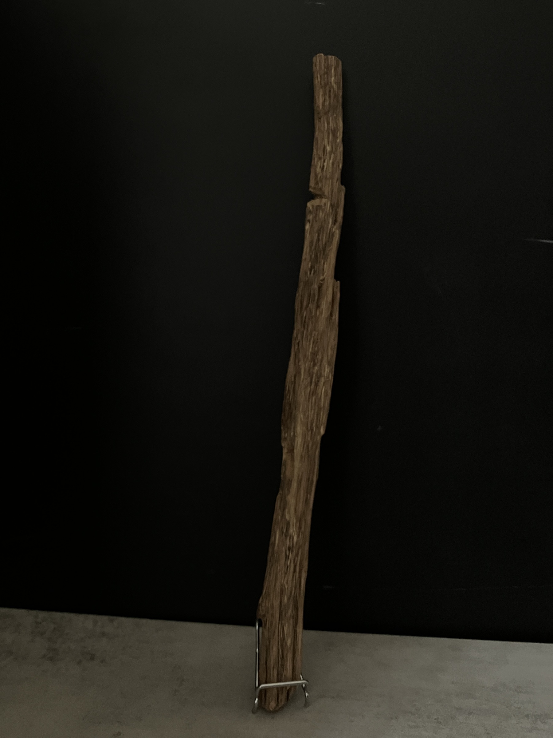 image_E8015390-6A18-46A2-9E31-5A52D2BD3484_1763624279