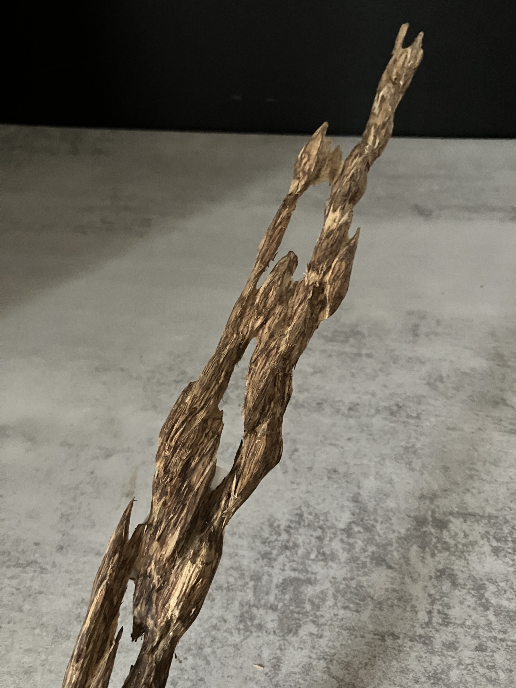 image_807E049B-664B-4954-A715-5C60A9195910_1763624343