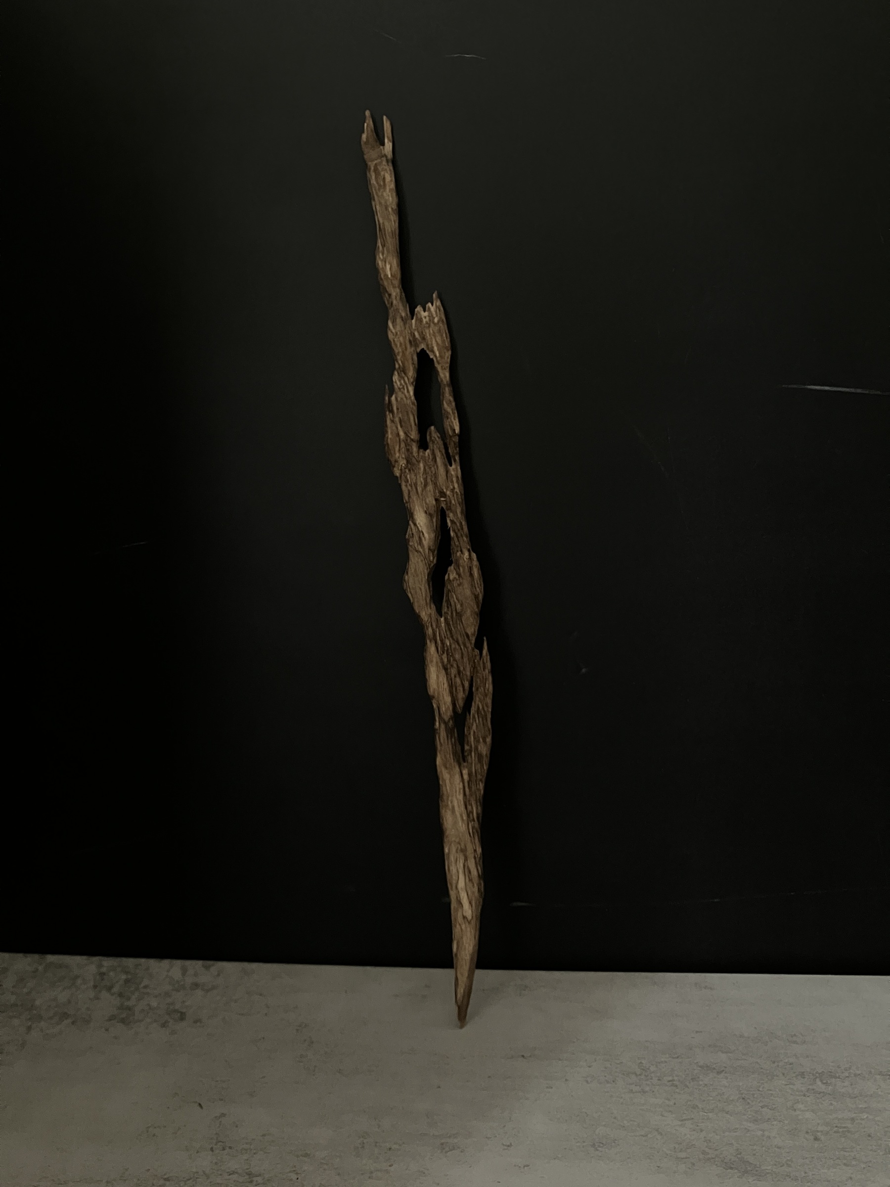 image_701B41FD-655A-428D-94A7-67E9480CCC2E_1763624343