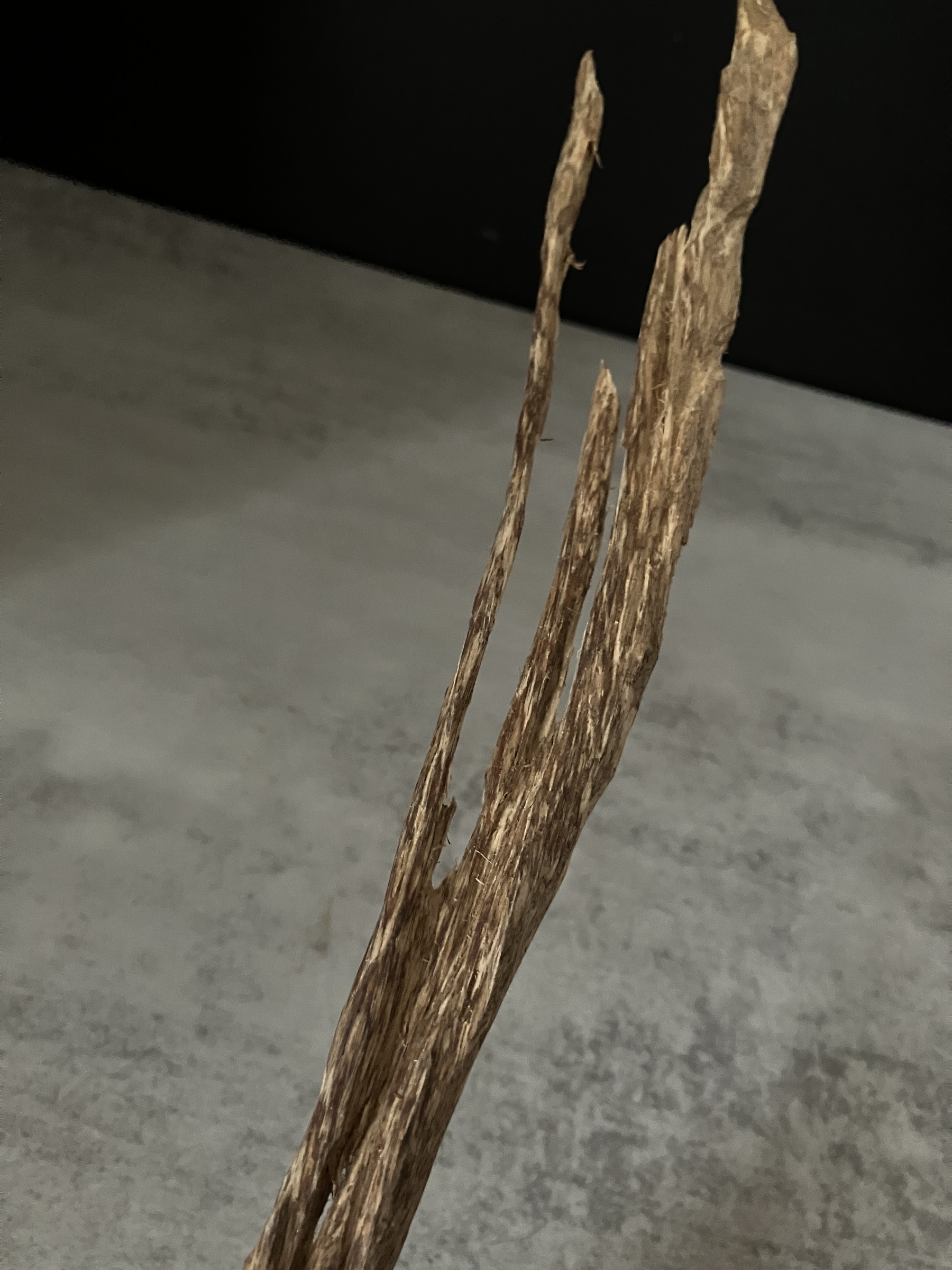 image_3FA3E38A-C387-41A2-82BB-8FD508397258_1763624408