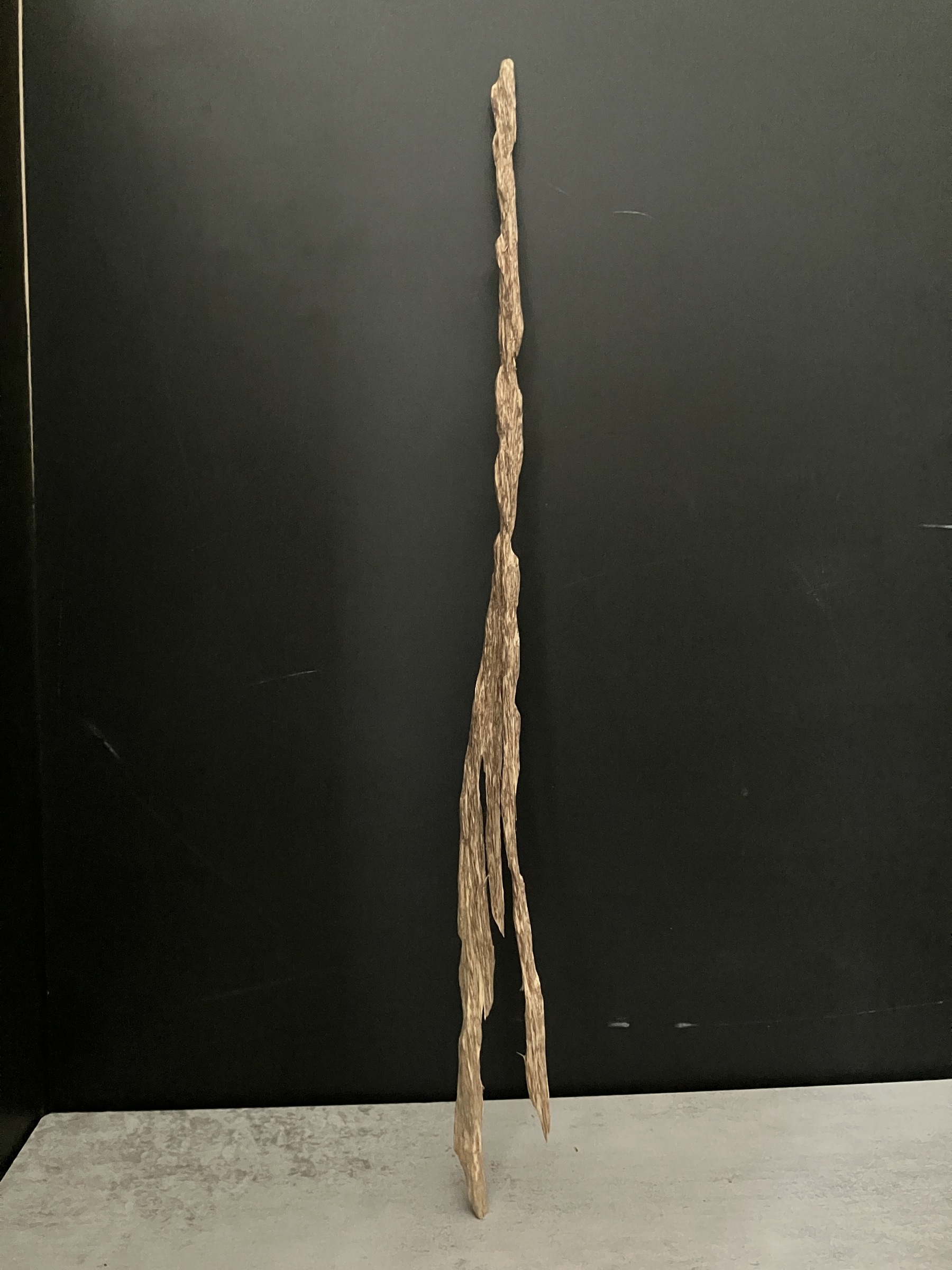 image_F7D9D9C9-081C-4429-AF1E-732090D0251E_1763624408