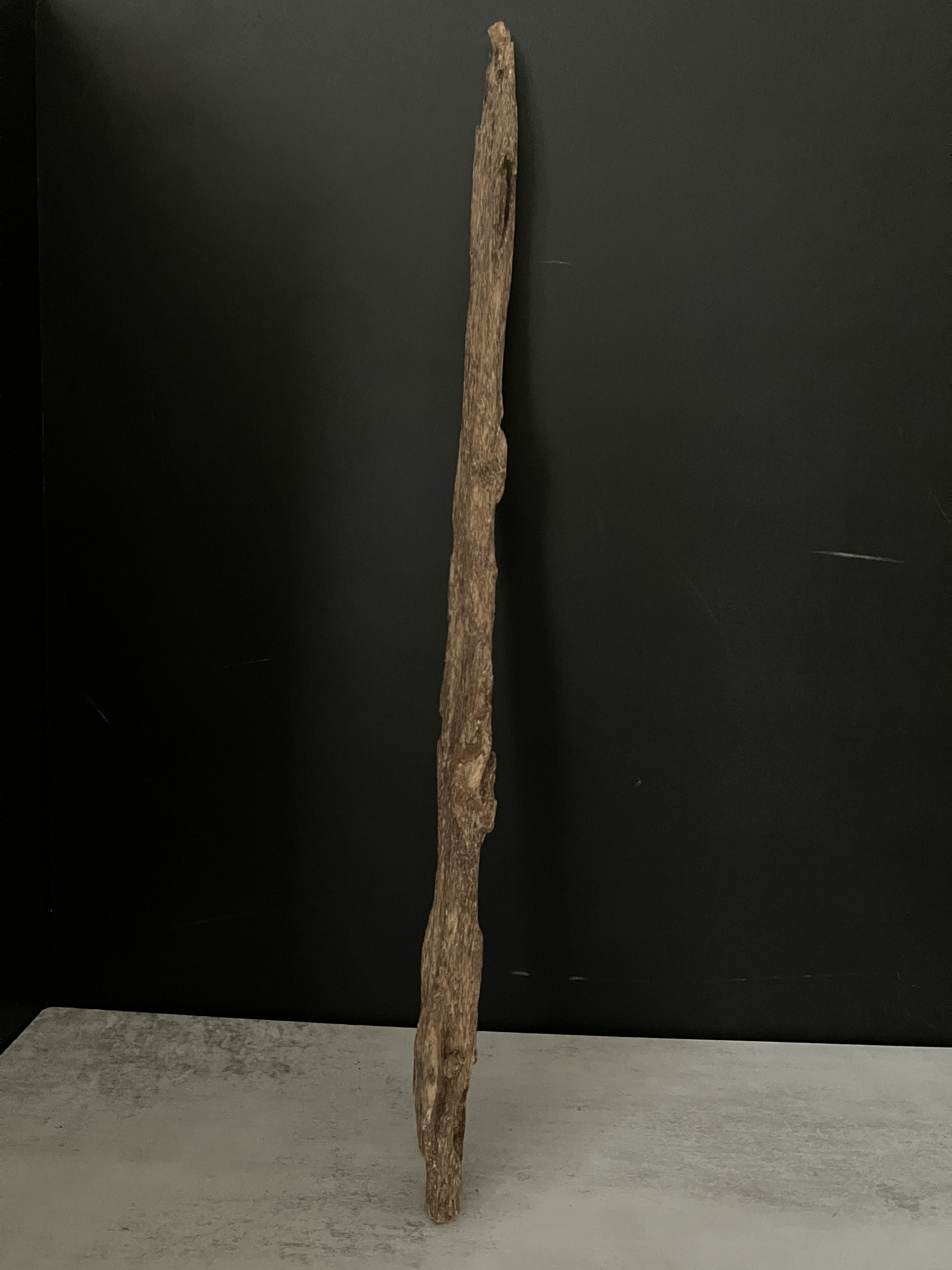 image_8C83015D-DD1A-4D88-A282-0D9D713AC7BB_1763624474