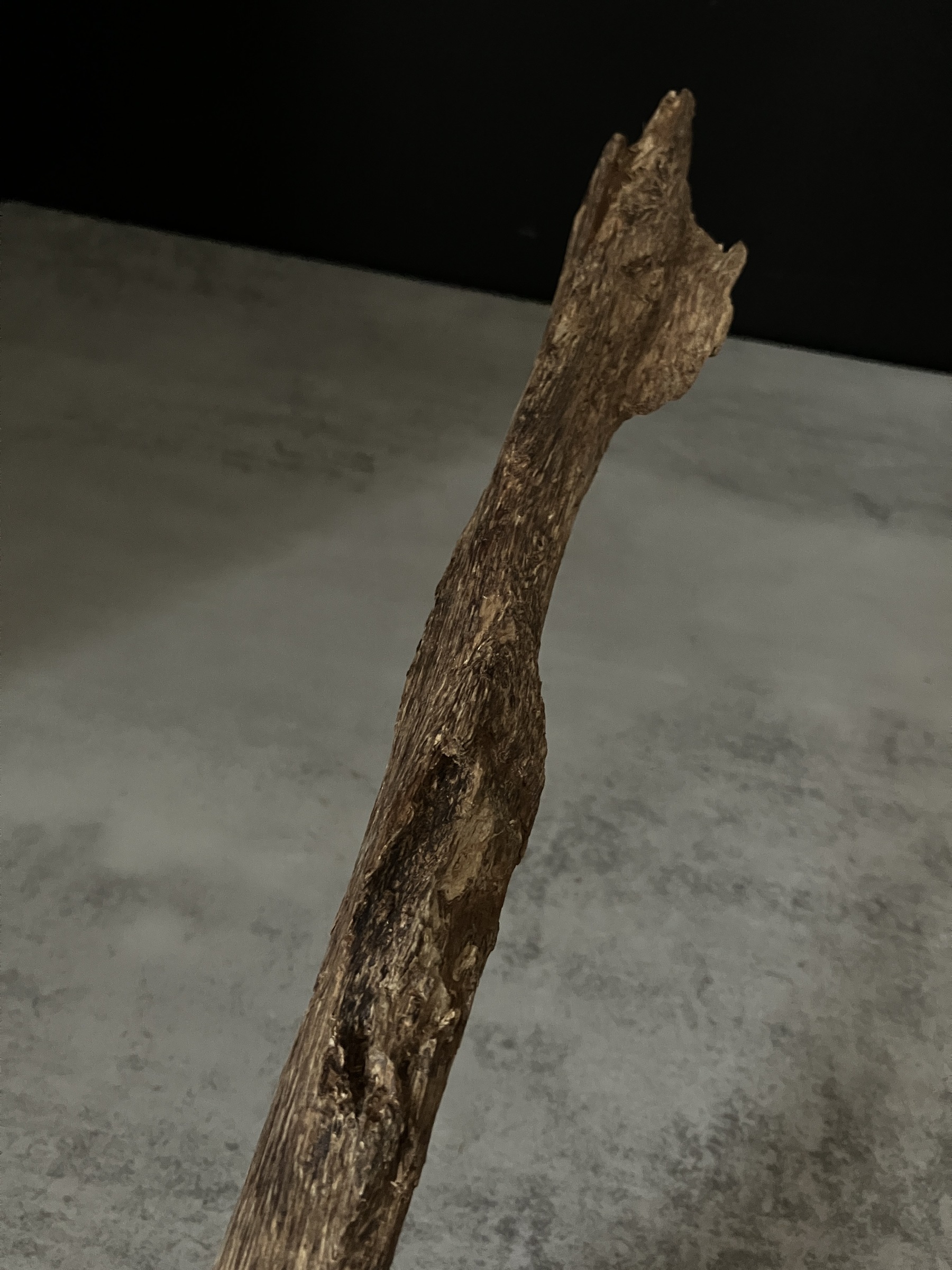 image_CEE3B700-793A-4671-8B4A-C0919F9DFA8D_1763624474