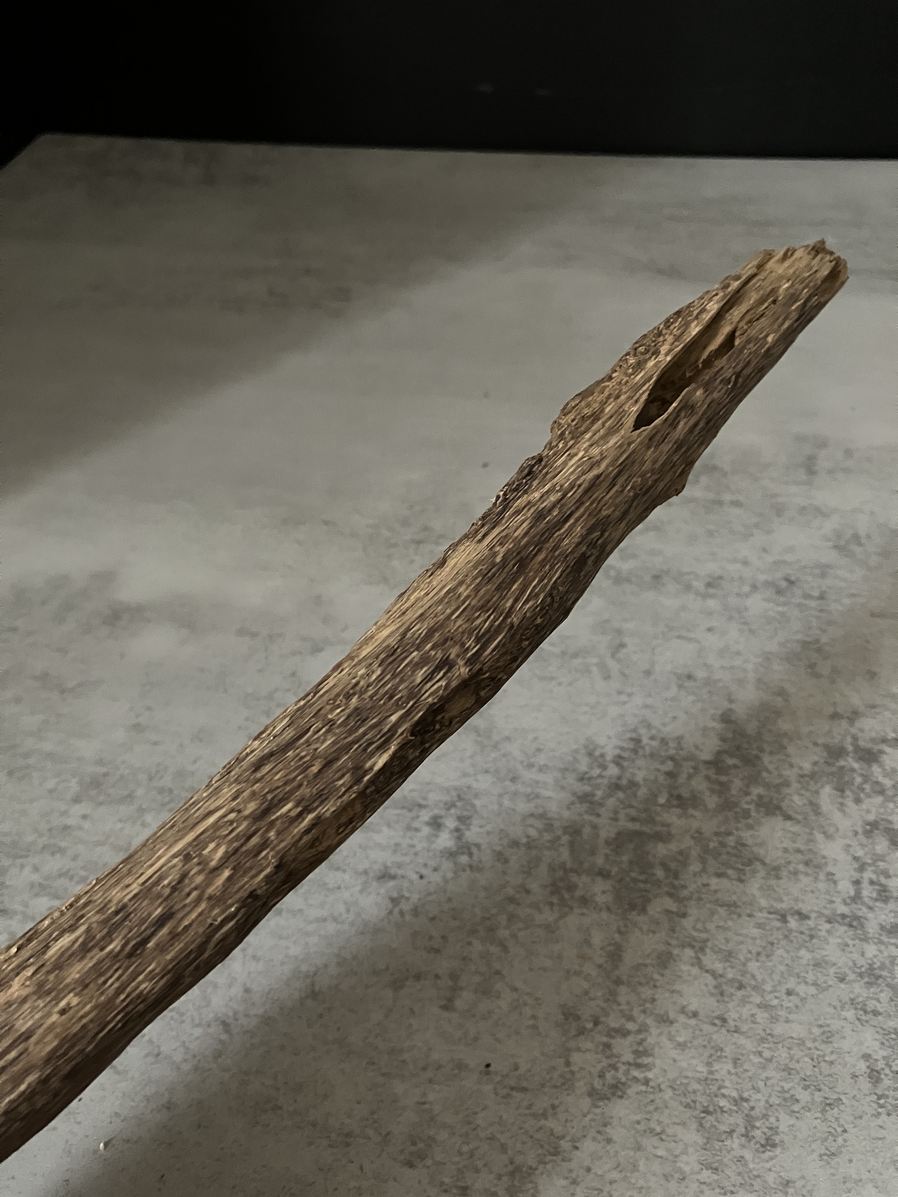 image_F02EB68B-2F96-45E4-9728-5B537B282A83_1763624474