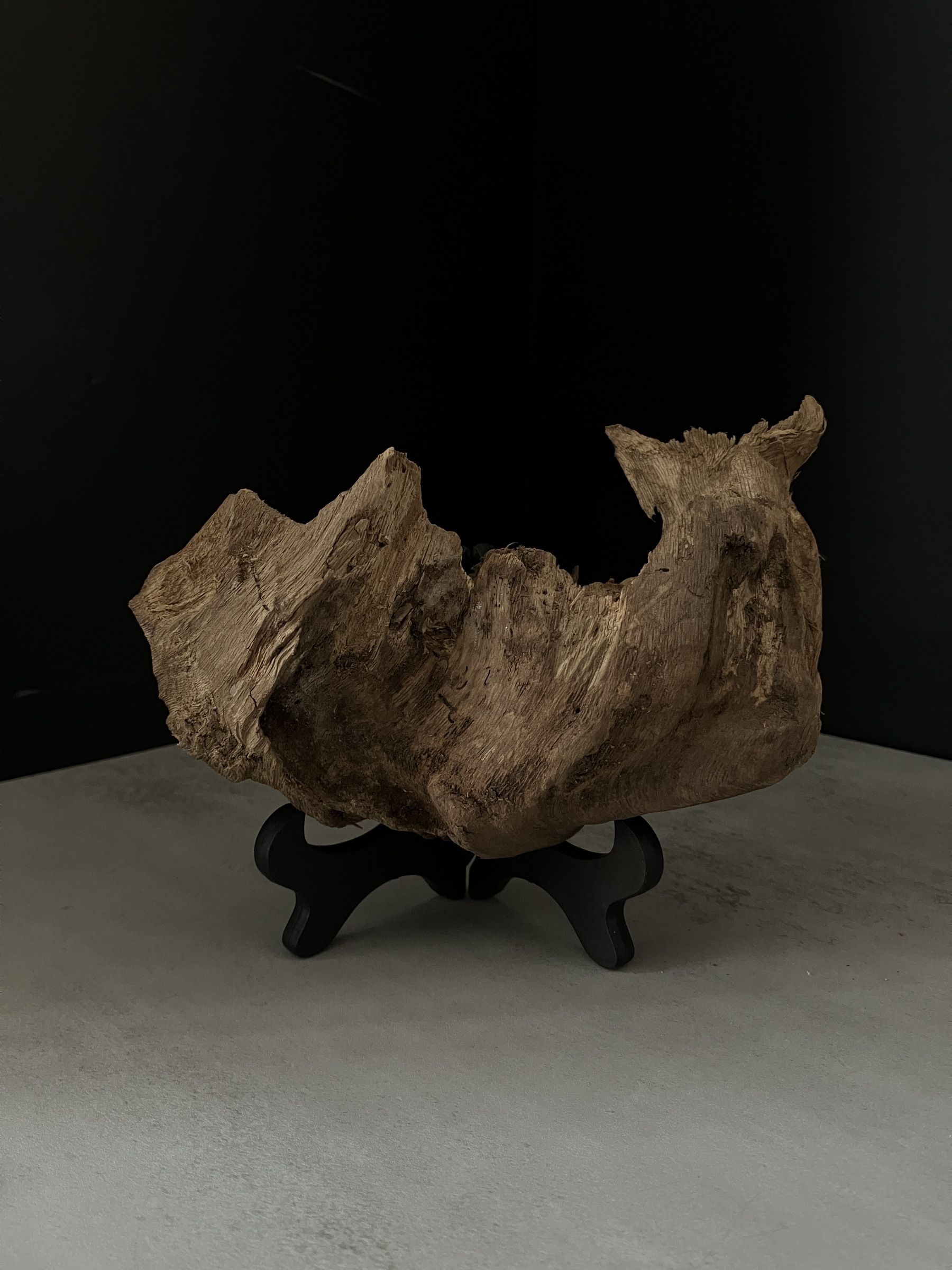 image_8F19C8FD-2DF9-454C-8C9C-EA2FD321105C_1764056839