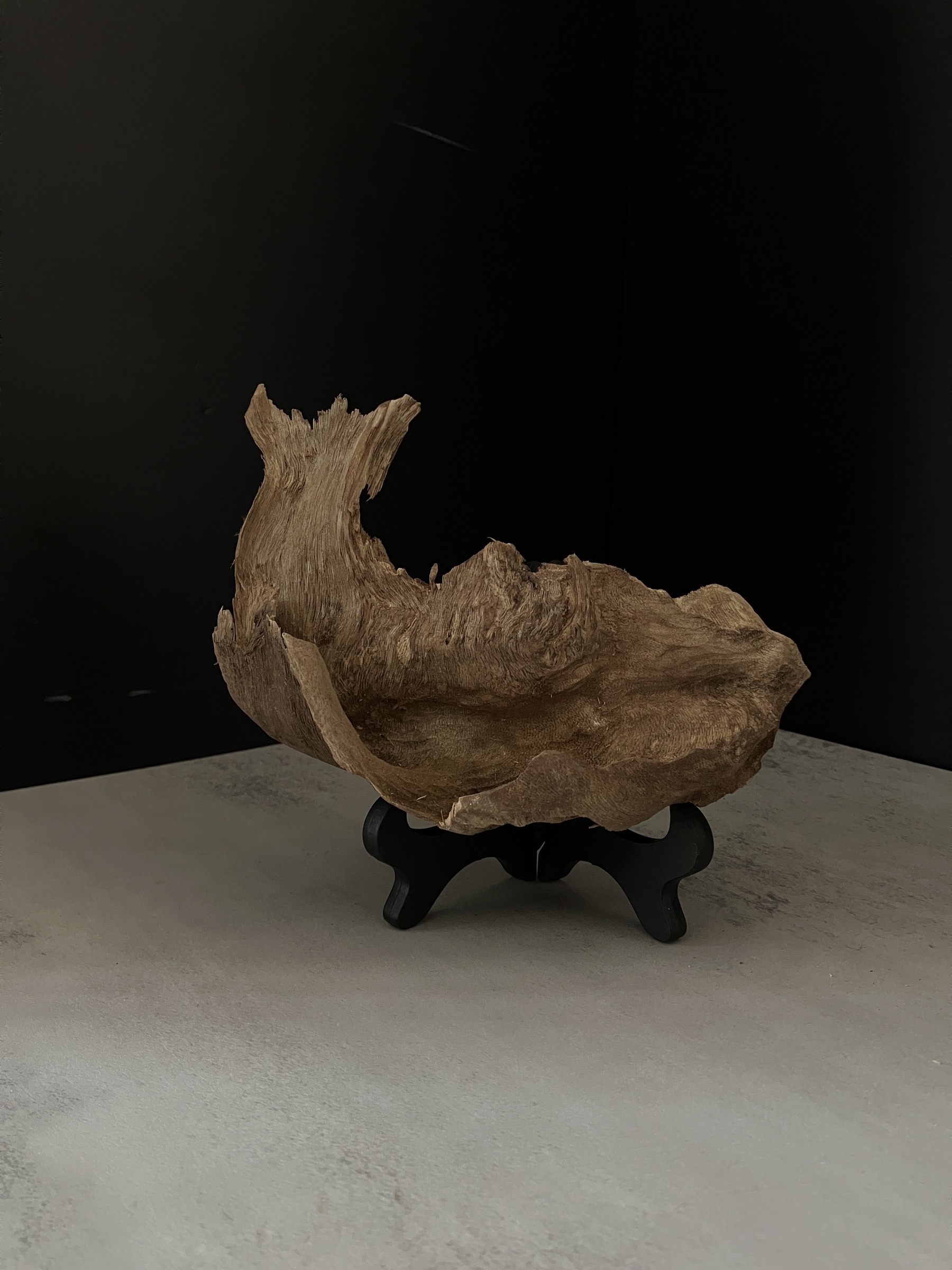 image_53E43D6D-083C-43E7-B50B-F349D8ACB0BC_1764056839