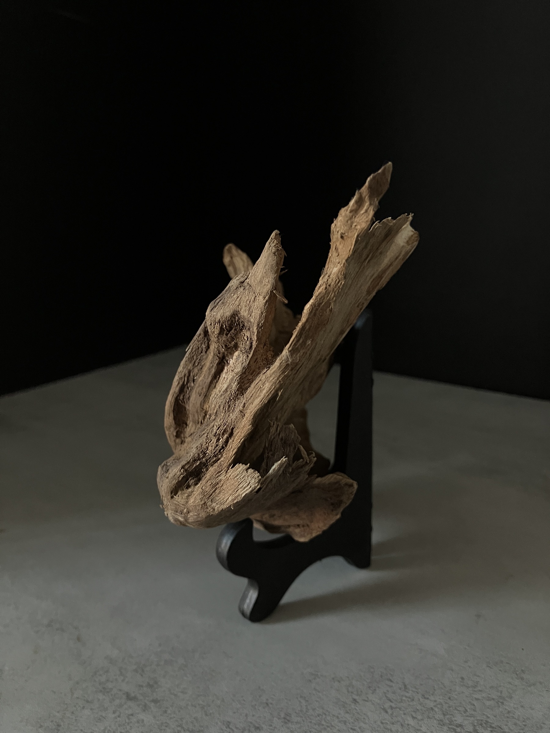 image_7C6CA3D9-5D62-40B9-8A0B-C7571552D352_1764056839