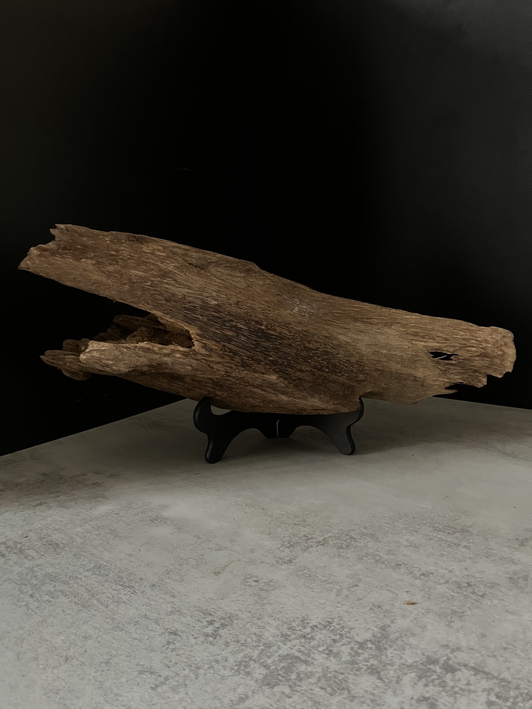 image_0E2C8364-5062-4A15-9DFD-EFA50848A9A8_1764056973