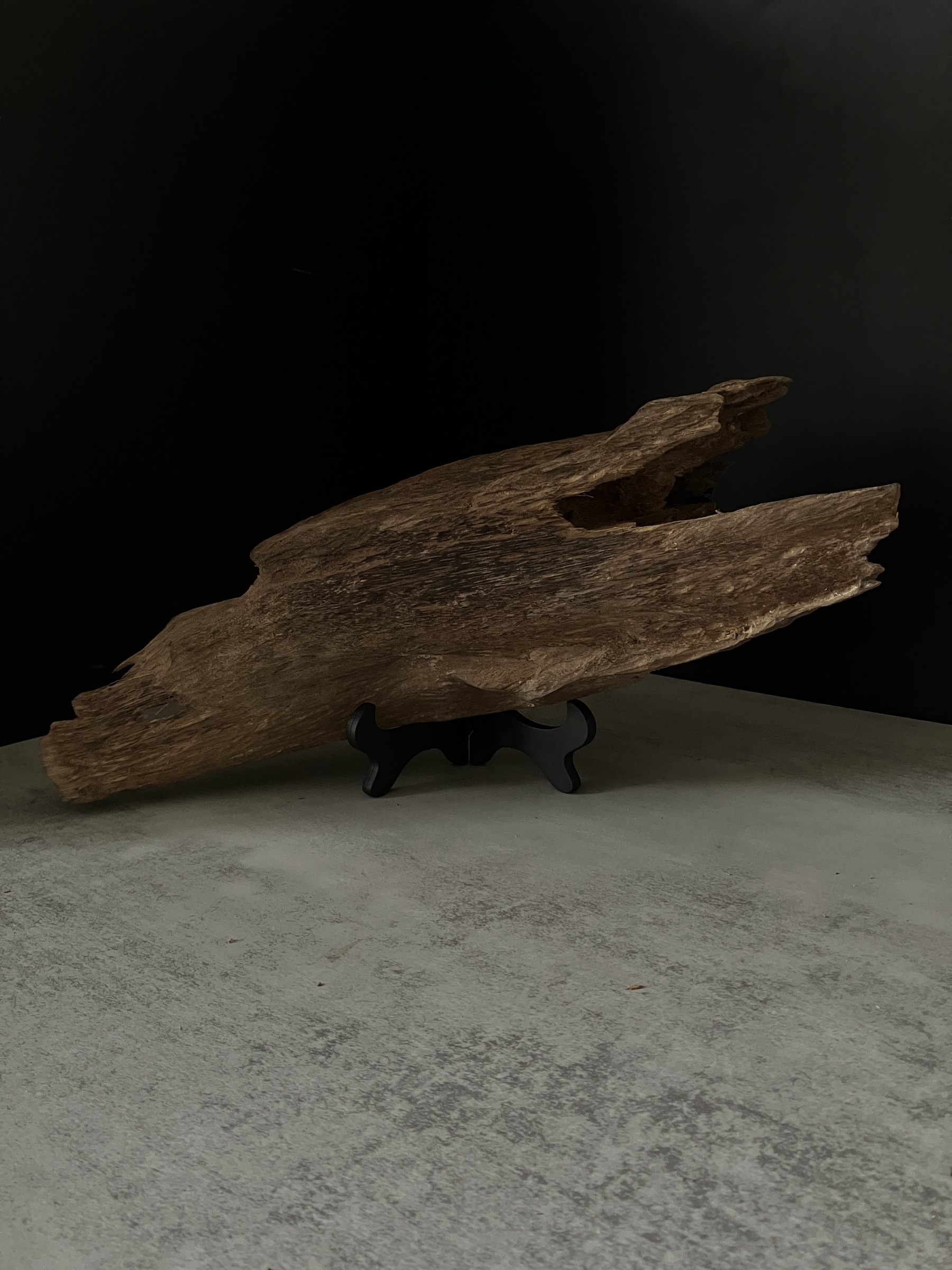 image_56F0C150-92F1-4C41-8231-4652BE173873_1764056973