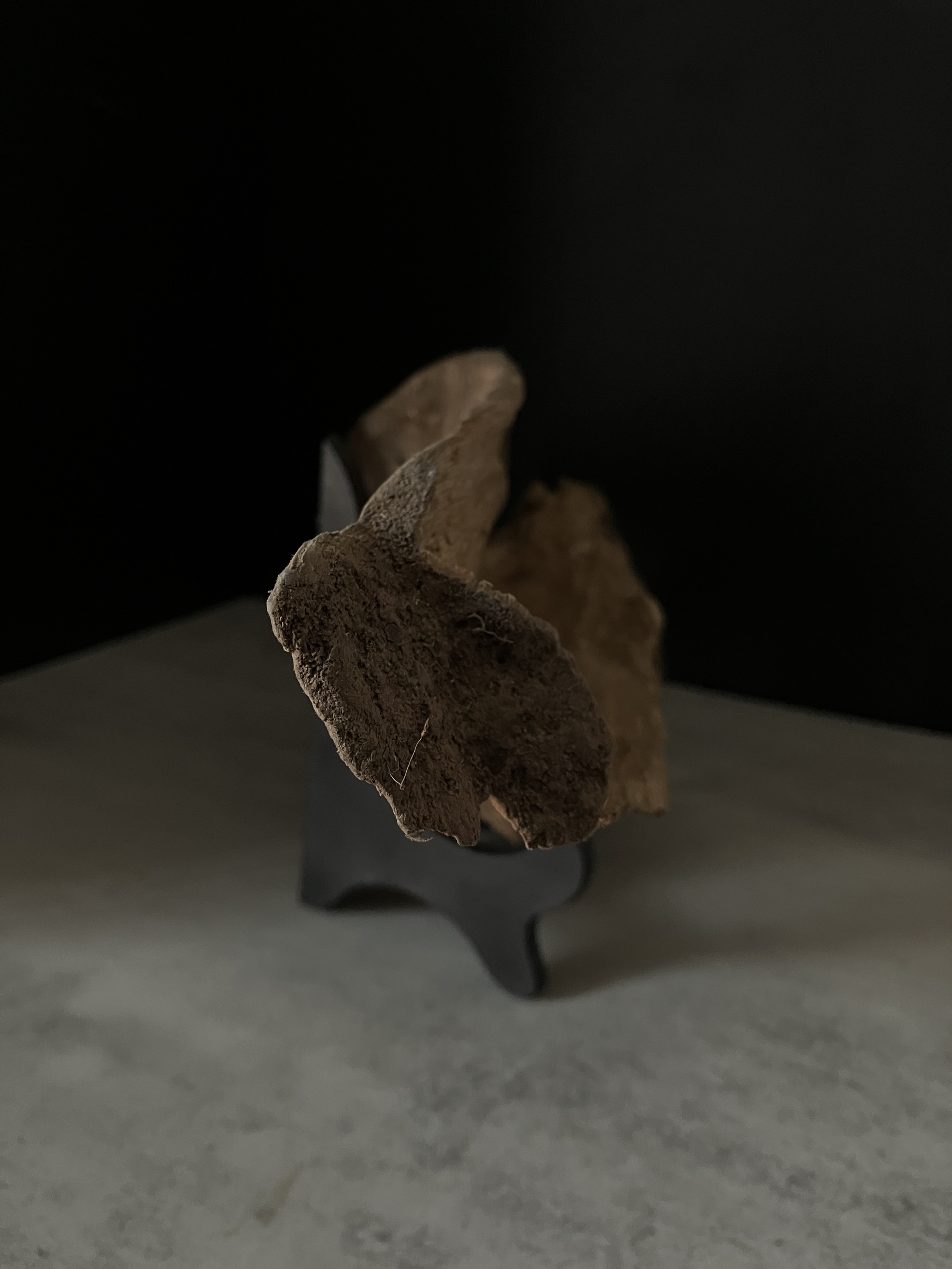 image_1CAD2953-D2A0-4B81-9AFF-5DE8752B7A72_1764056973