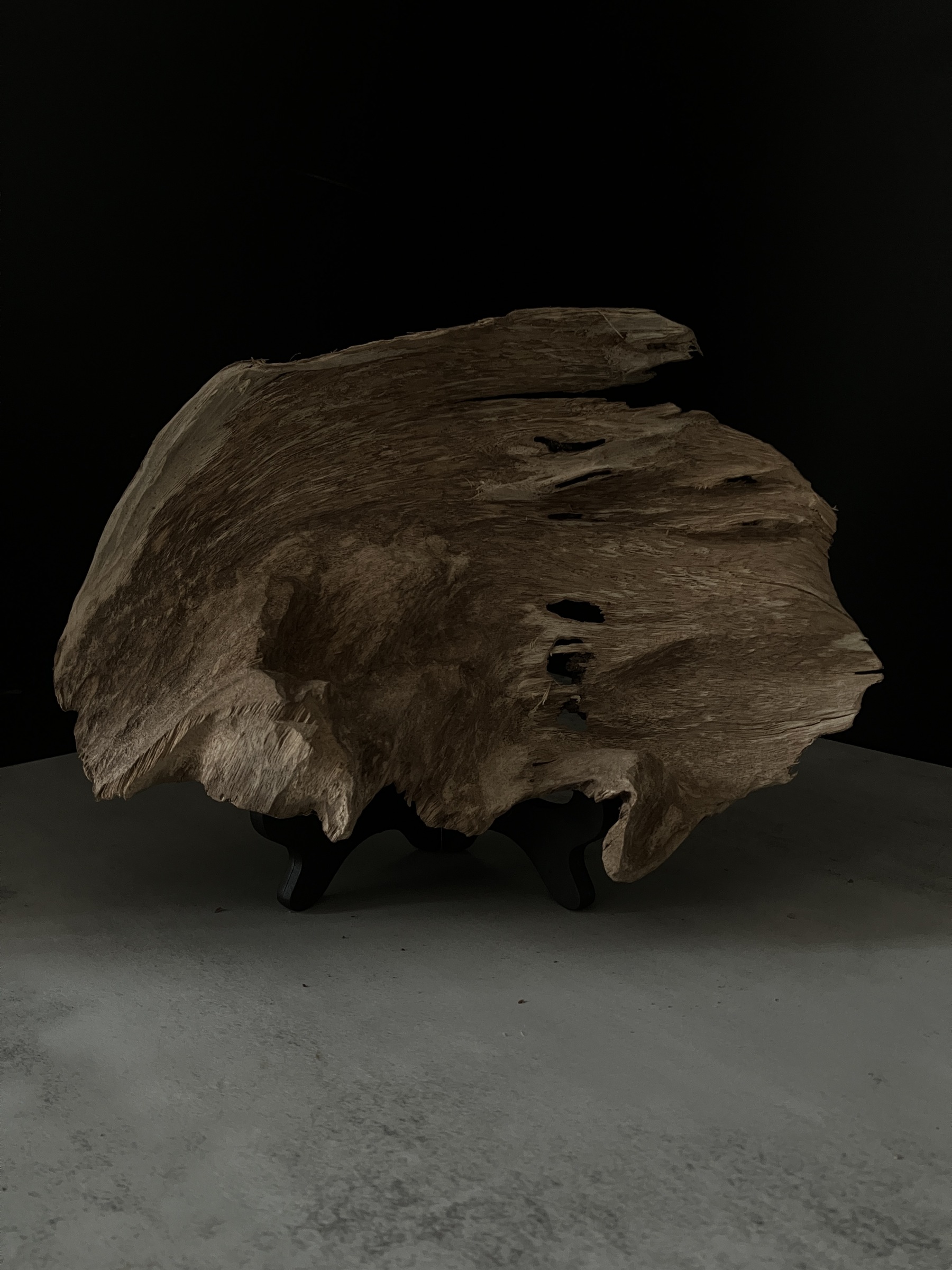 image_7A336BFD-49AE-4E23-86F7-93EA310BD056_1764057062