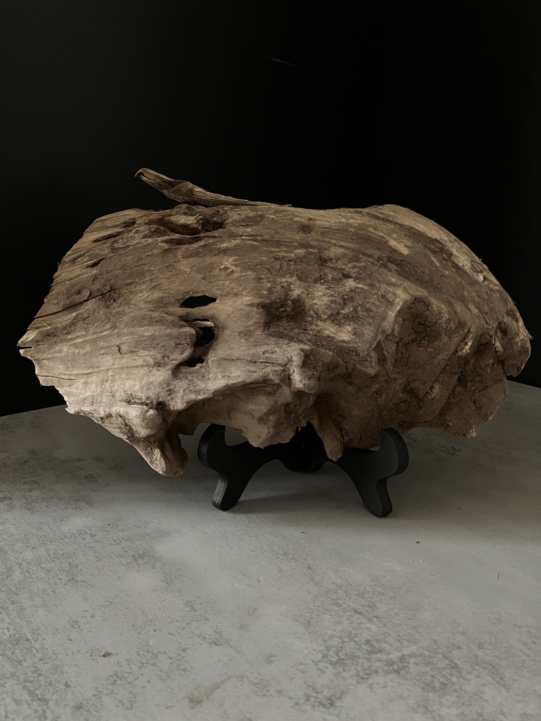 image_6D913870-472B-42E9-BF0C-4C313934D4C4_1764057062