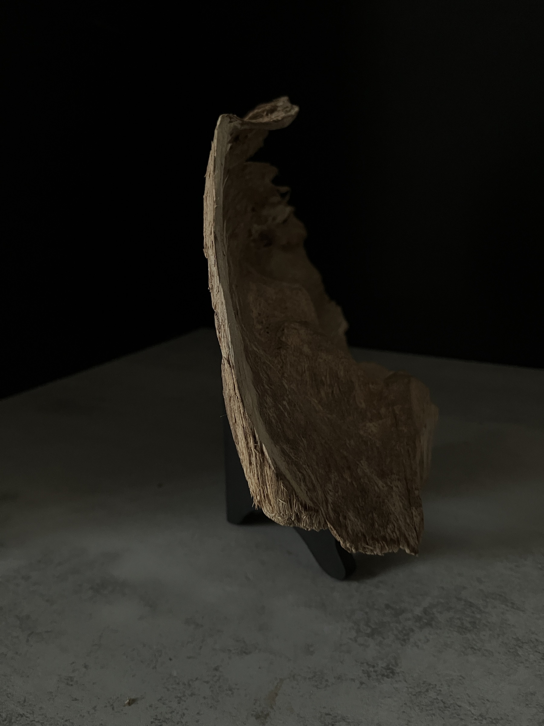 image_D5DE7F35-32CC-43E5-98BA-D9098FE42F66_1764057062