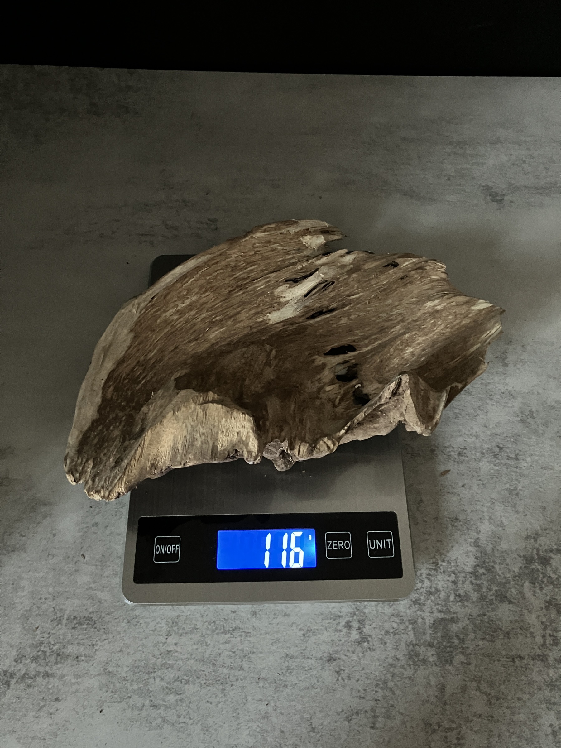 image_B405C54F-E470-45DA-A00D-BD80428CFBFB_1764057062