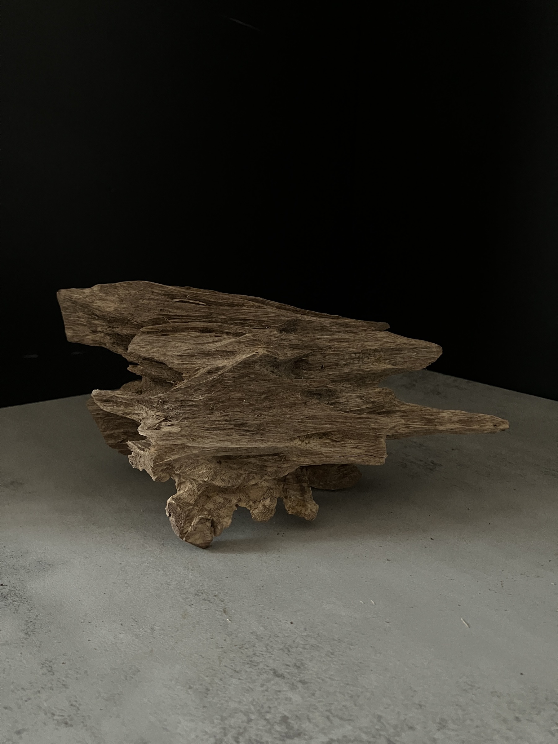 image_B8FD7E0B-B027-4A6A-9FDD-91BBA5D2F091_1764057152