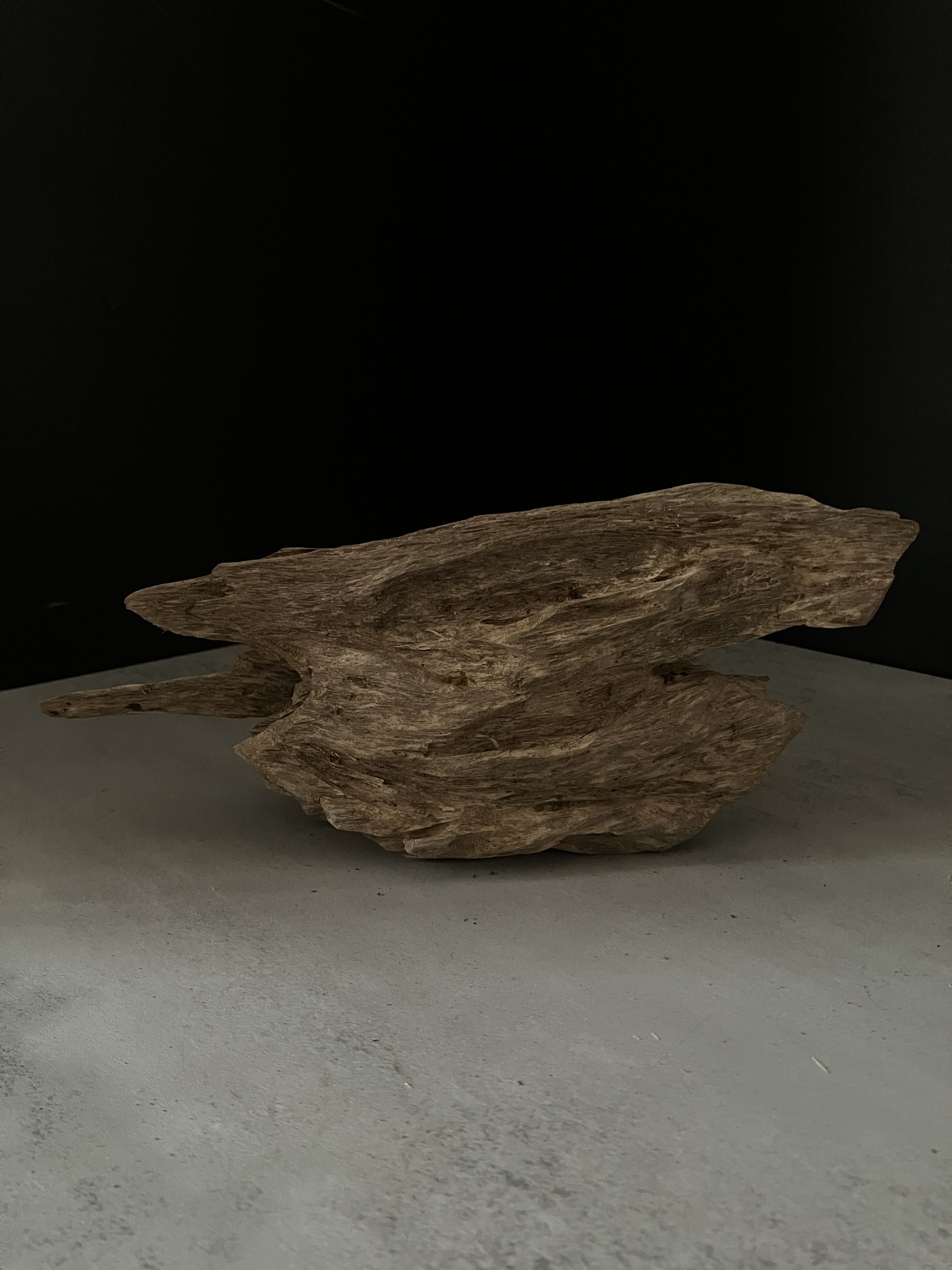 image_1A05B6E9-A722-447C-B4A7-7CC75924924B_1764057152