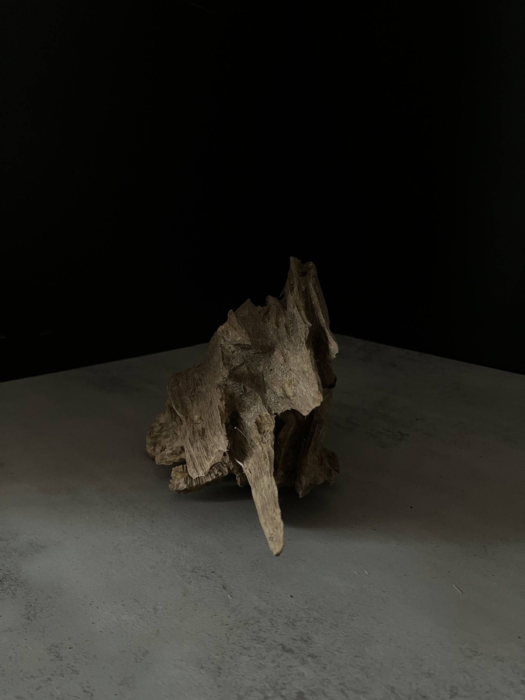 image_43505257-97E5-4A22-BA63-8B8F7547DABD_1764057152