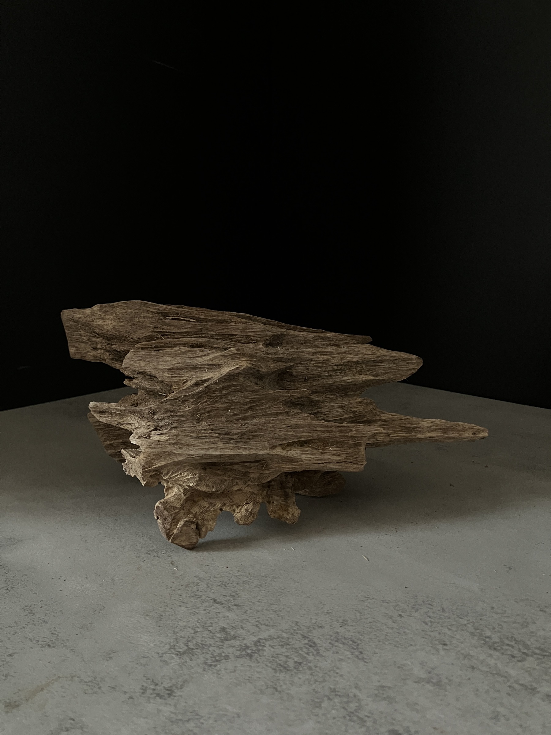 image_8793CD13-B038-4461-A228-870014A582FF_1764057152