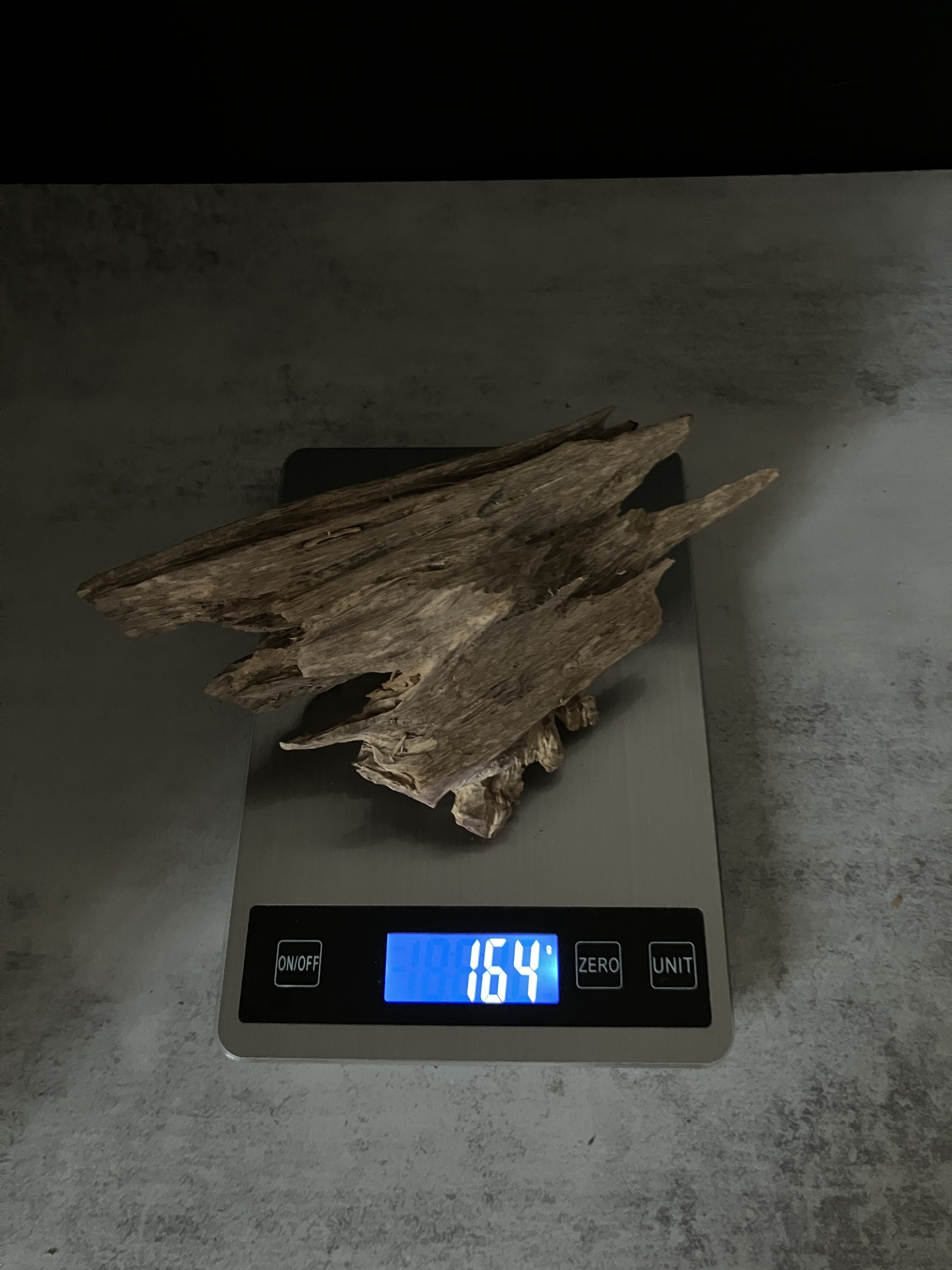 image_6FFF1546-EBAC-4815-A5EA-B5A36BA5A97F_1764057152