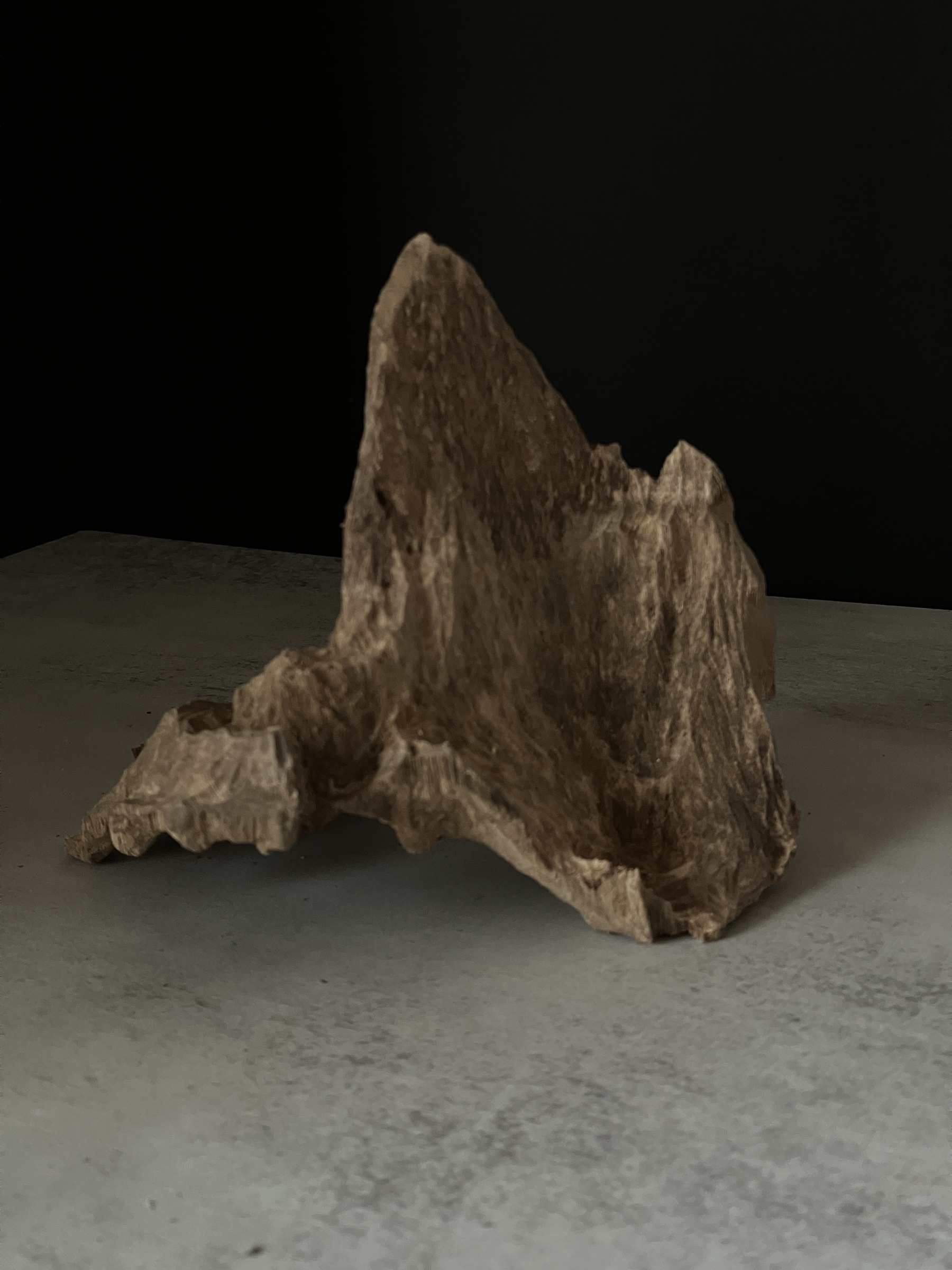 image_CA248E05-20CC-4F95-8C53-61E8575B52A9_1764057225