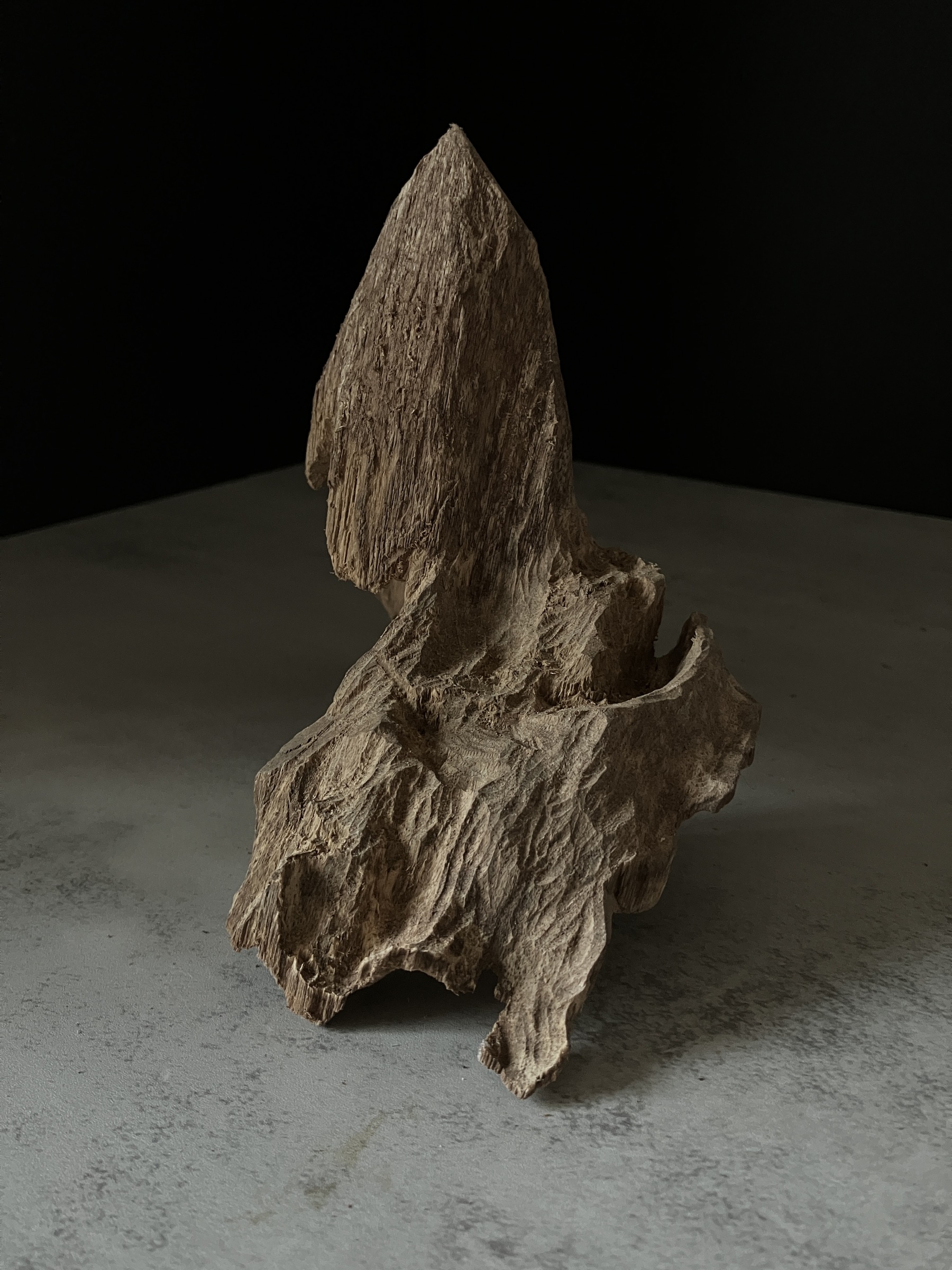 image_3814C31A-8C17-48E8-8732-8CD57AD00671_1764057225